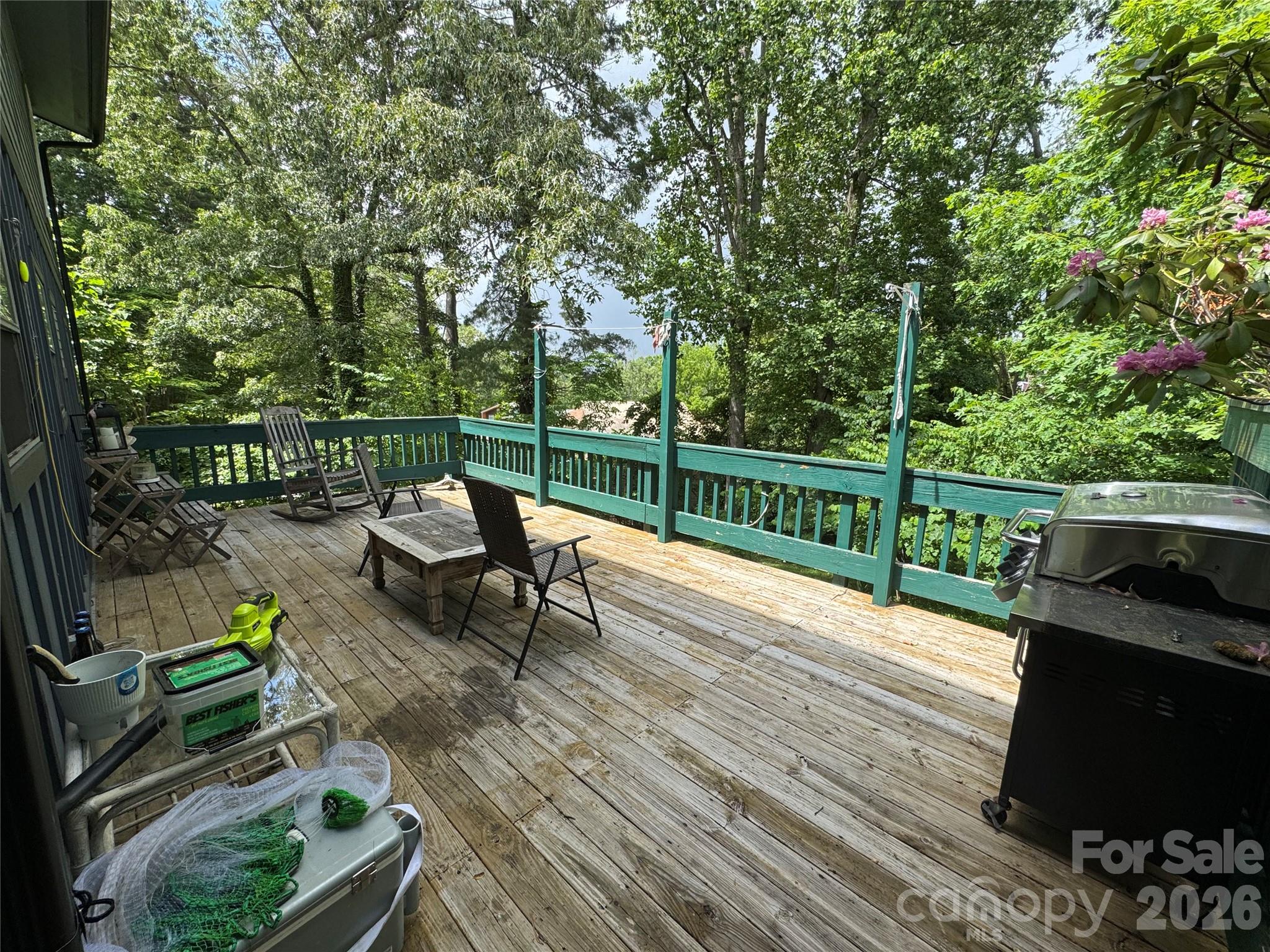 Single Family Residence at 25 Worley Place, Asheville, photo 20 of 23
