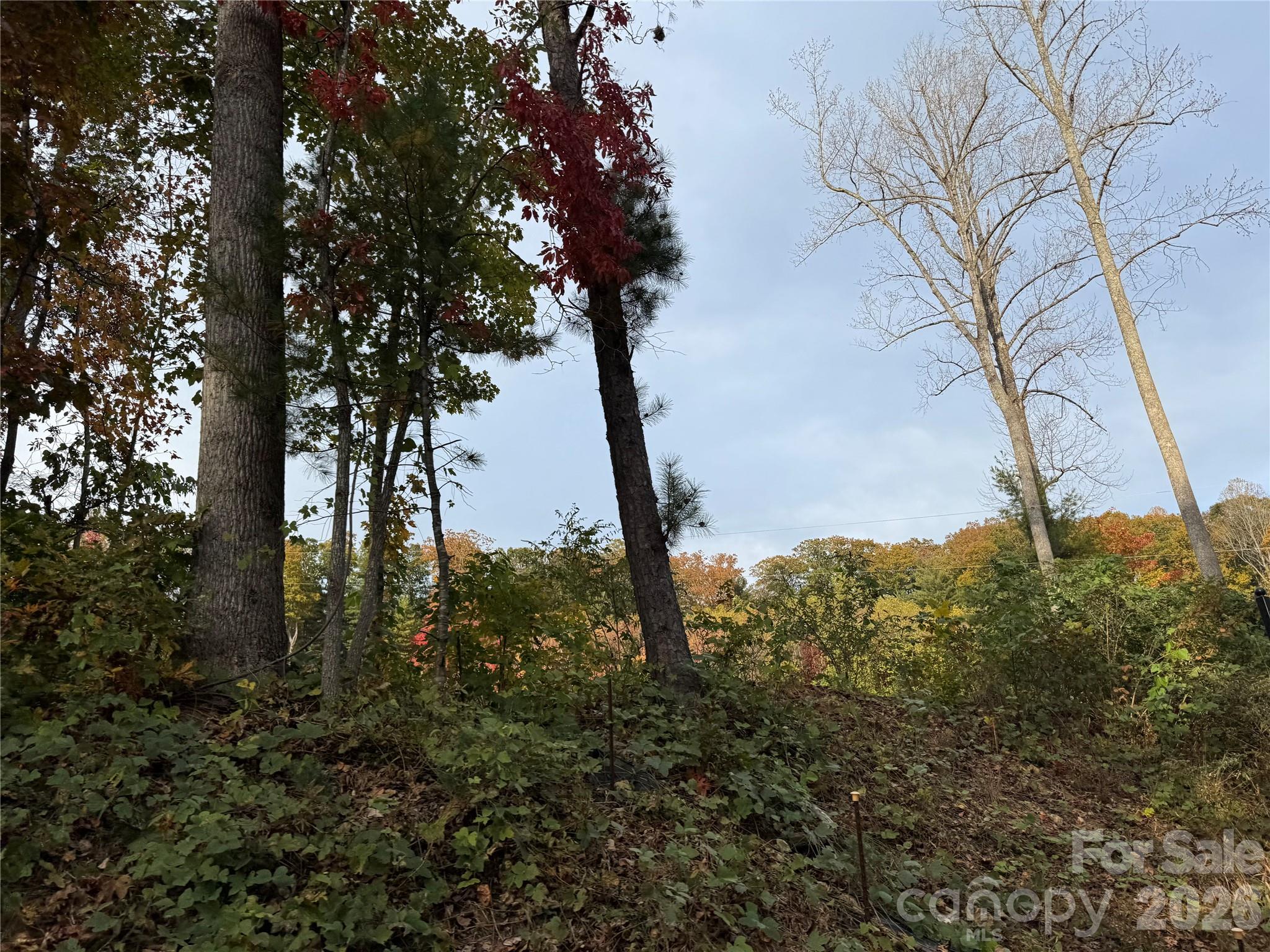 Acreage at 3200 Greenville Highway, Flat Rock, photo 29 of 29