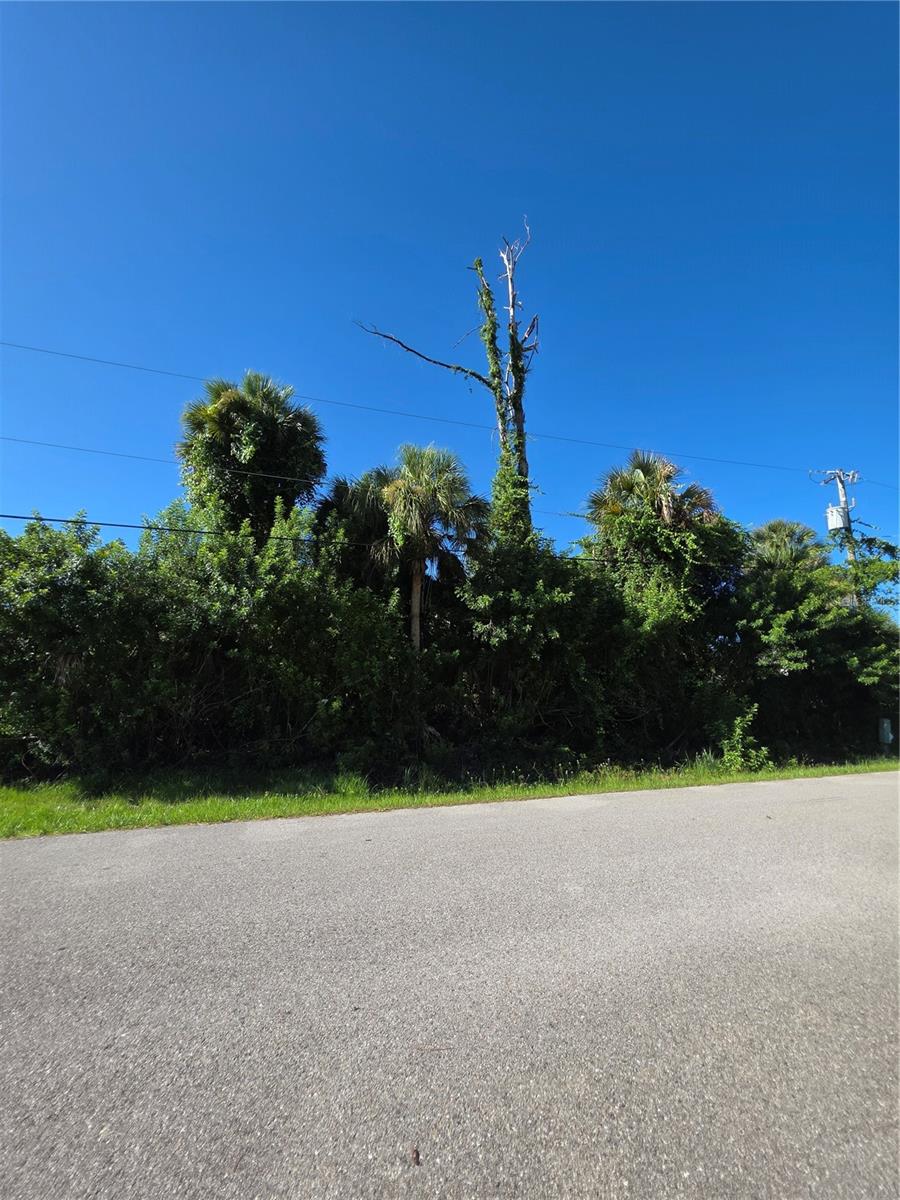 Land at AFAR AVE, NORTH PORT, photo 3 of 3