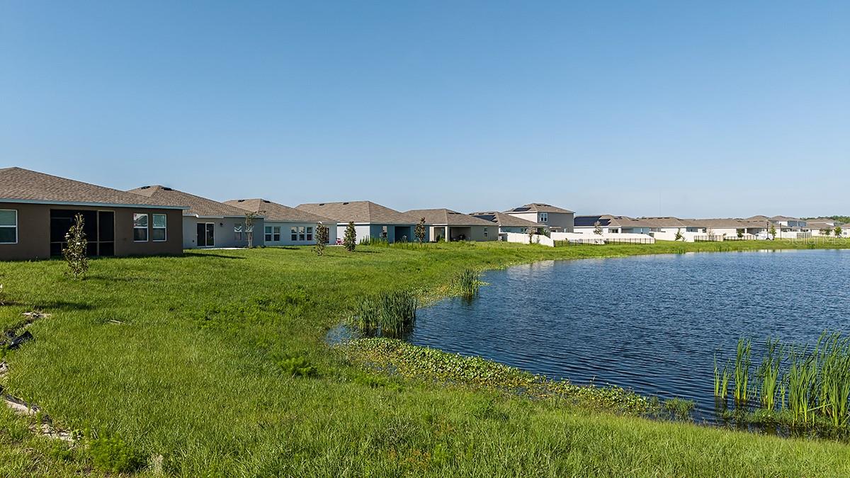Westview Community - 5691 SEAGRAPE LN, KISSIMMEE