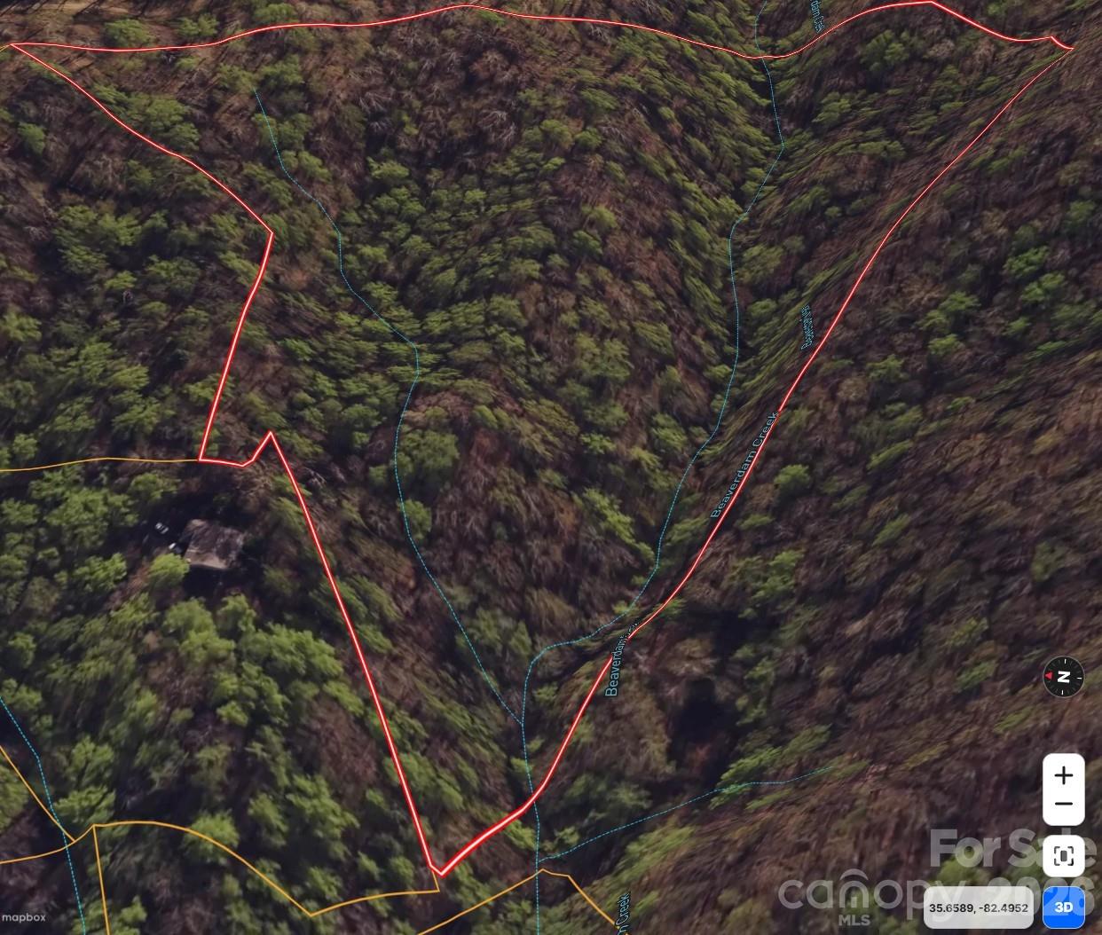 GIS of property - 99999 Lynn Cove Road, Asheville