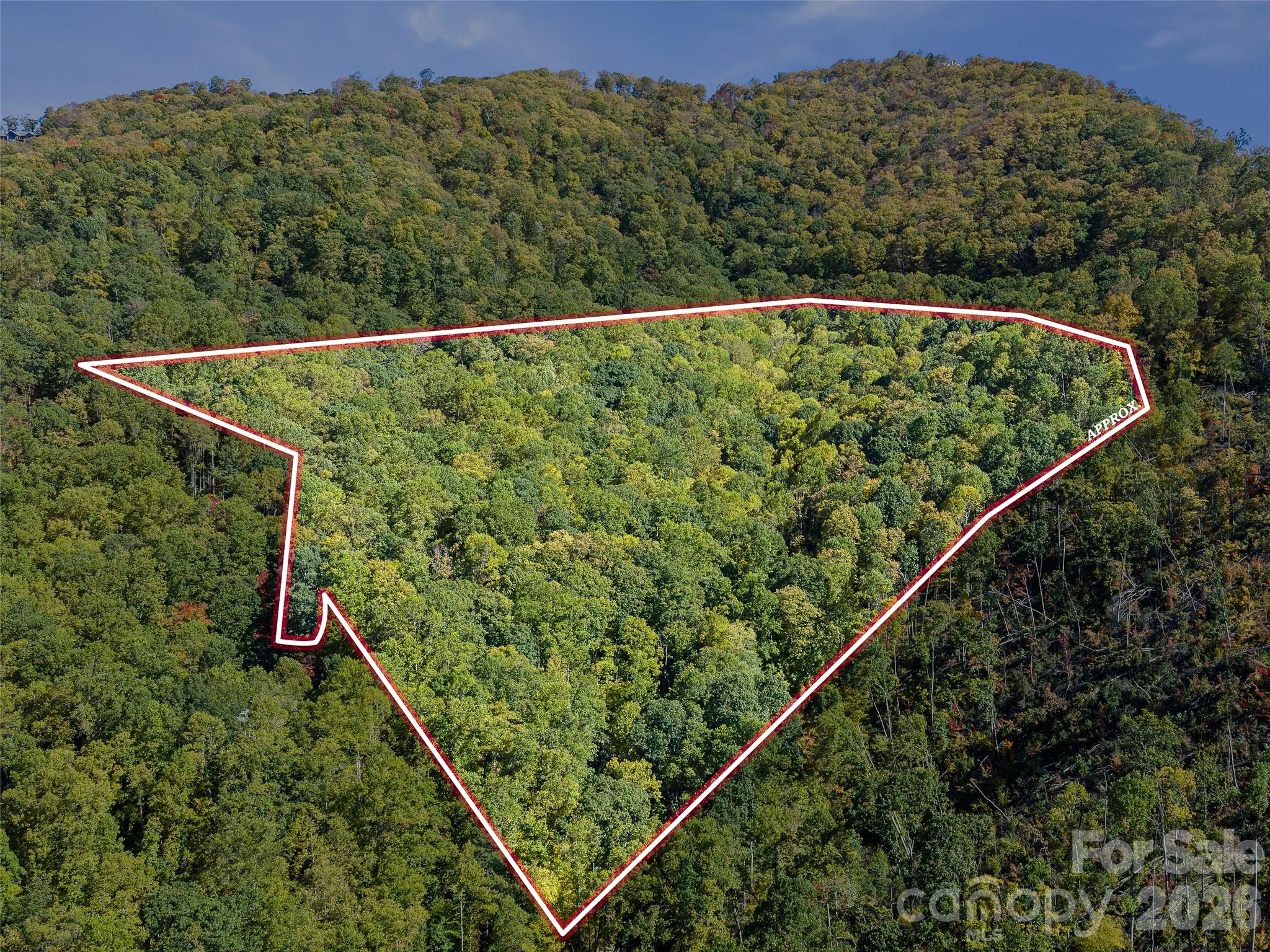 Property lines (estimated) - 99999 Lynn Cove Road, Asheville
