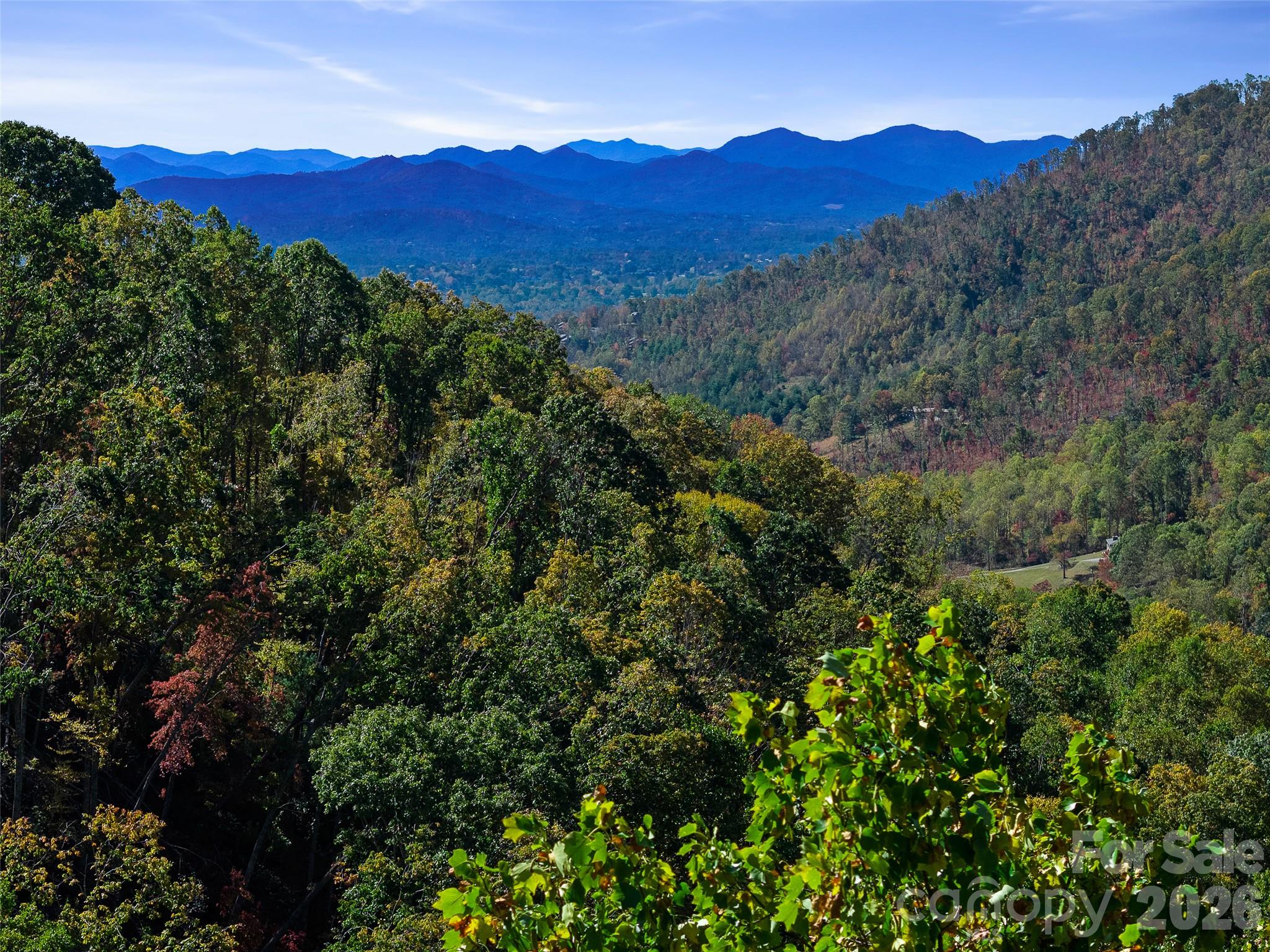 Treetop view - 99999 Lynn Cove Road, Asheville