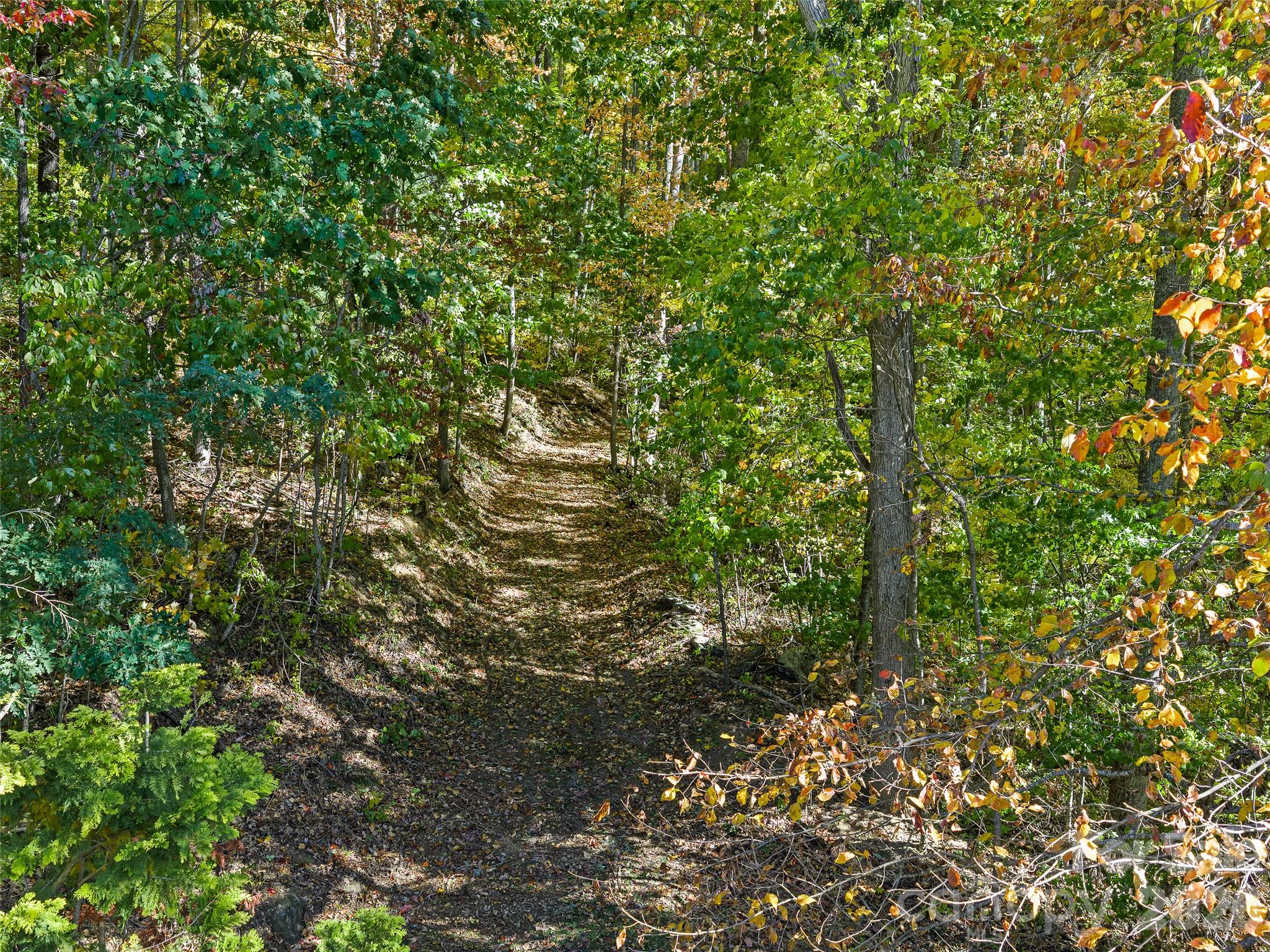 Acreage at 99999 Lynn Cove Road, Asheville, photo 17 of 29