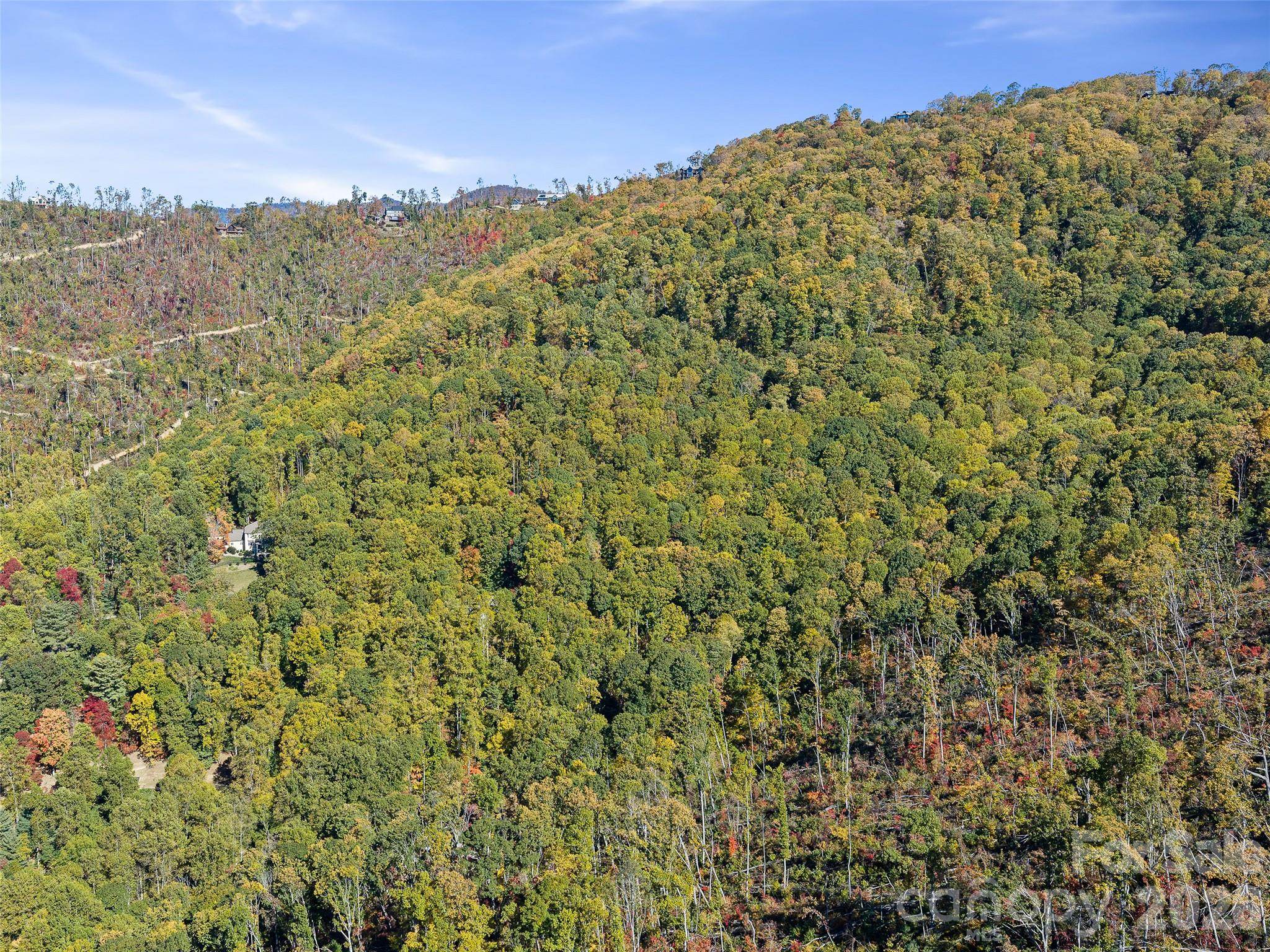 Acreage at 99999 Lynn Cove Road, Asheville, photo 18 of 29