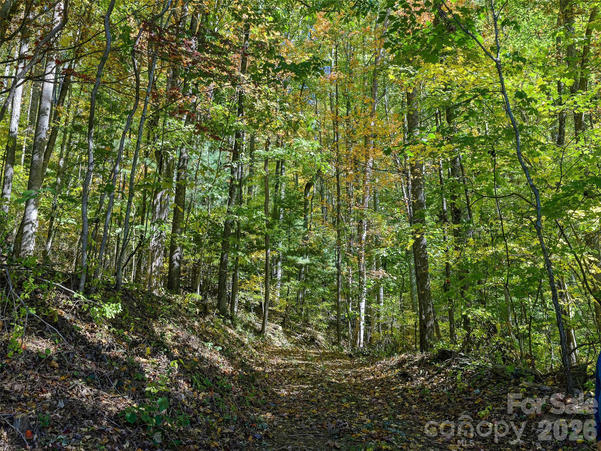 Acreage at 99999 Lynn Cove Road, Asheville, photo 24 of 29