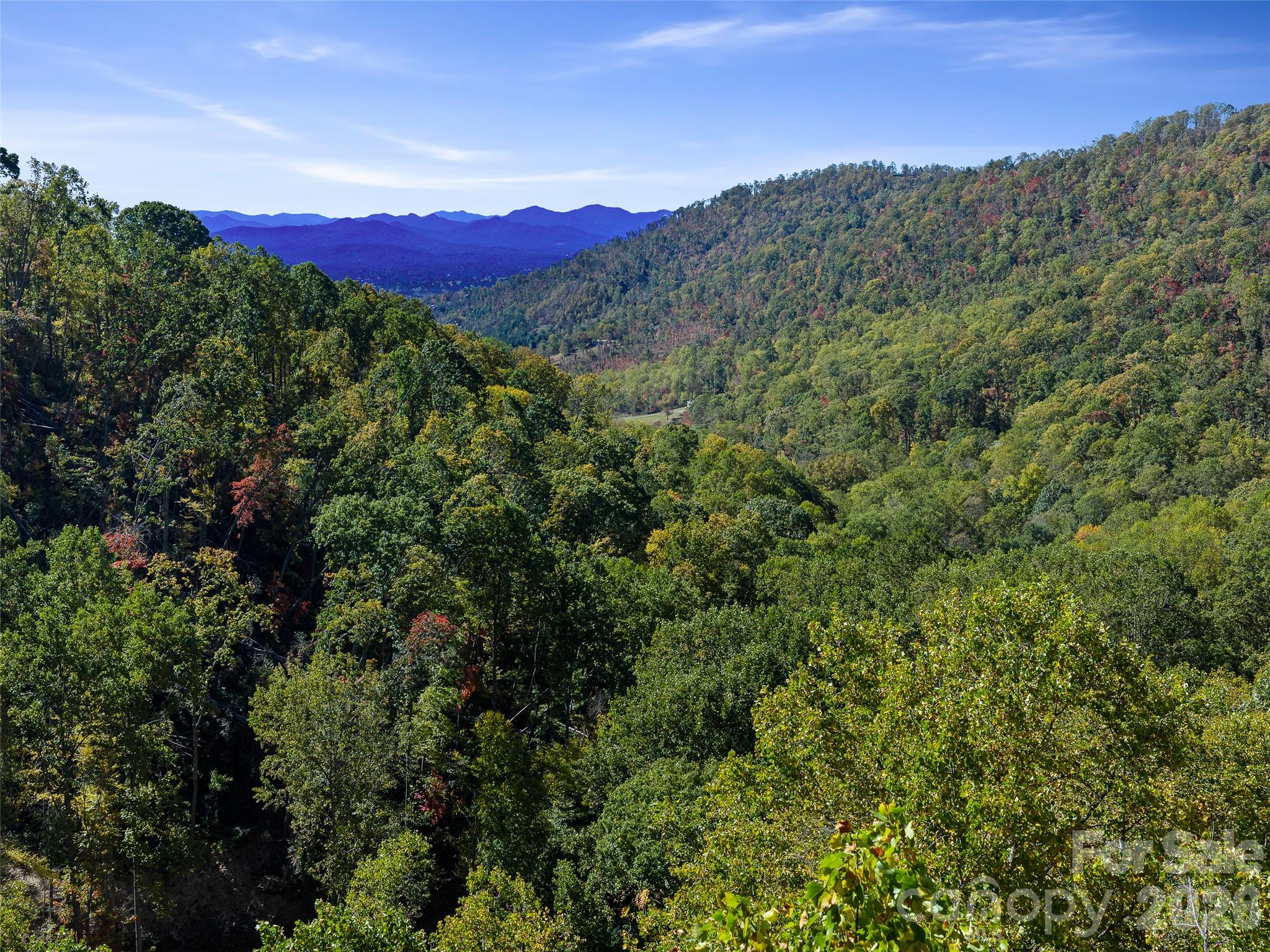 Acreage at 99999 Lynn Cove Road, Asheville, photo 25 of 29