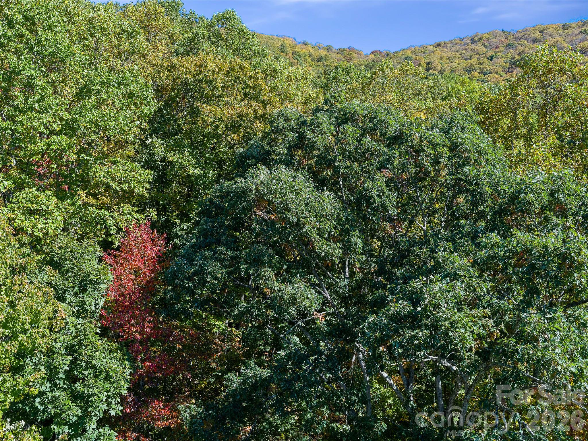 Acreage at 99999 Lynn Cove Road, Asheville, photo 26 of 29
