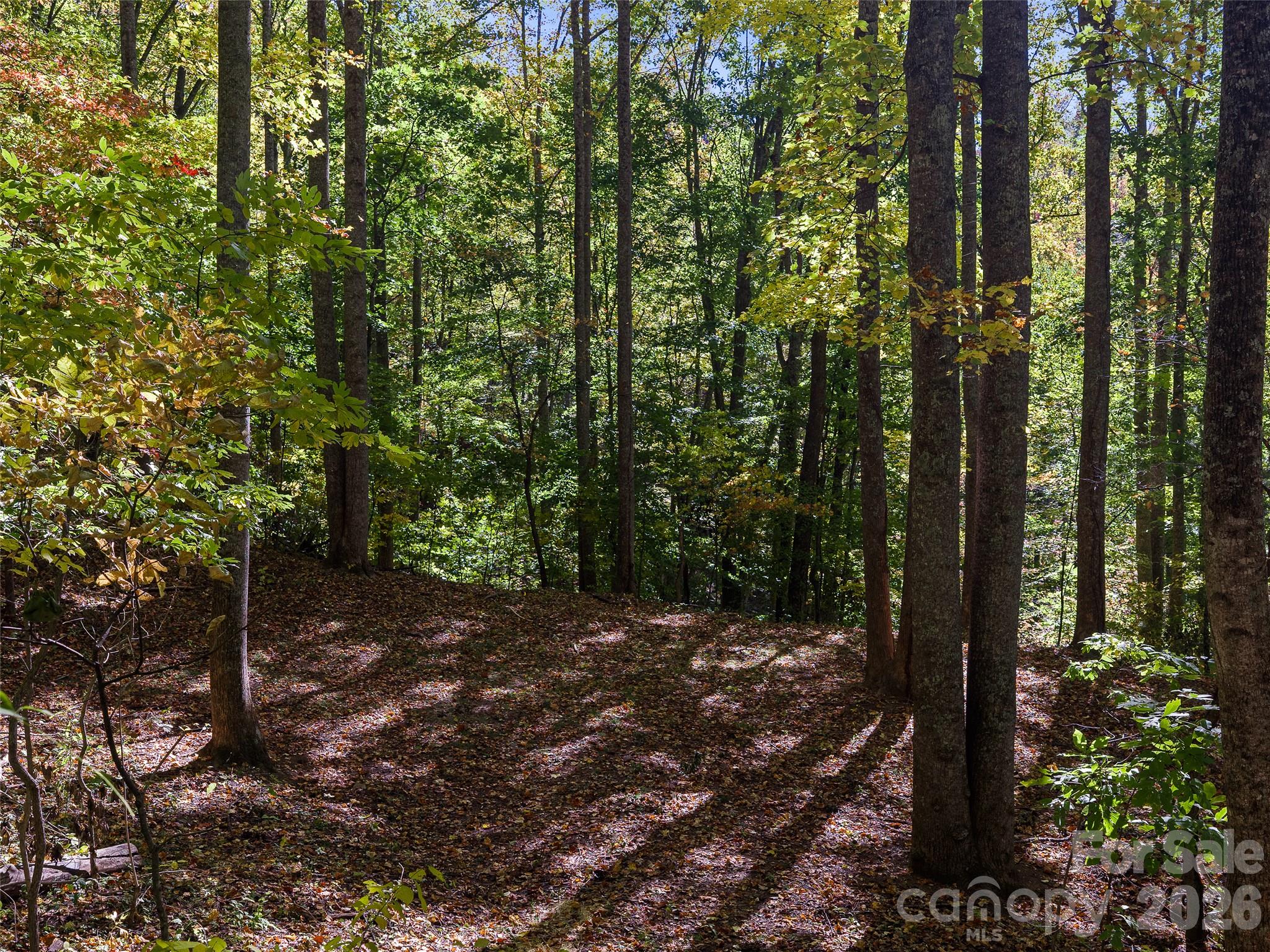 Acreage at 99999 Lynn Cove Road, Asheville, photo 27 of 29
