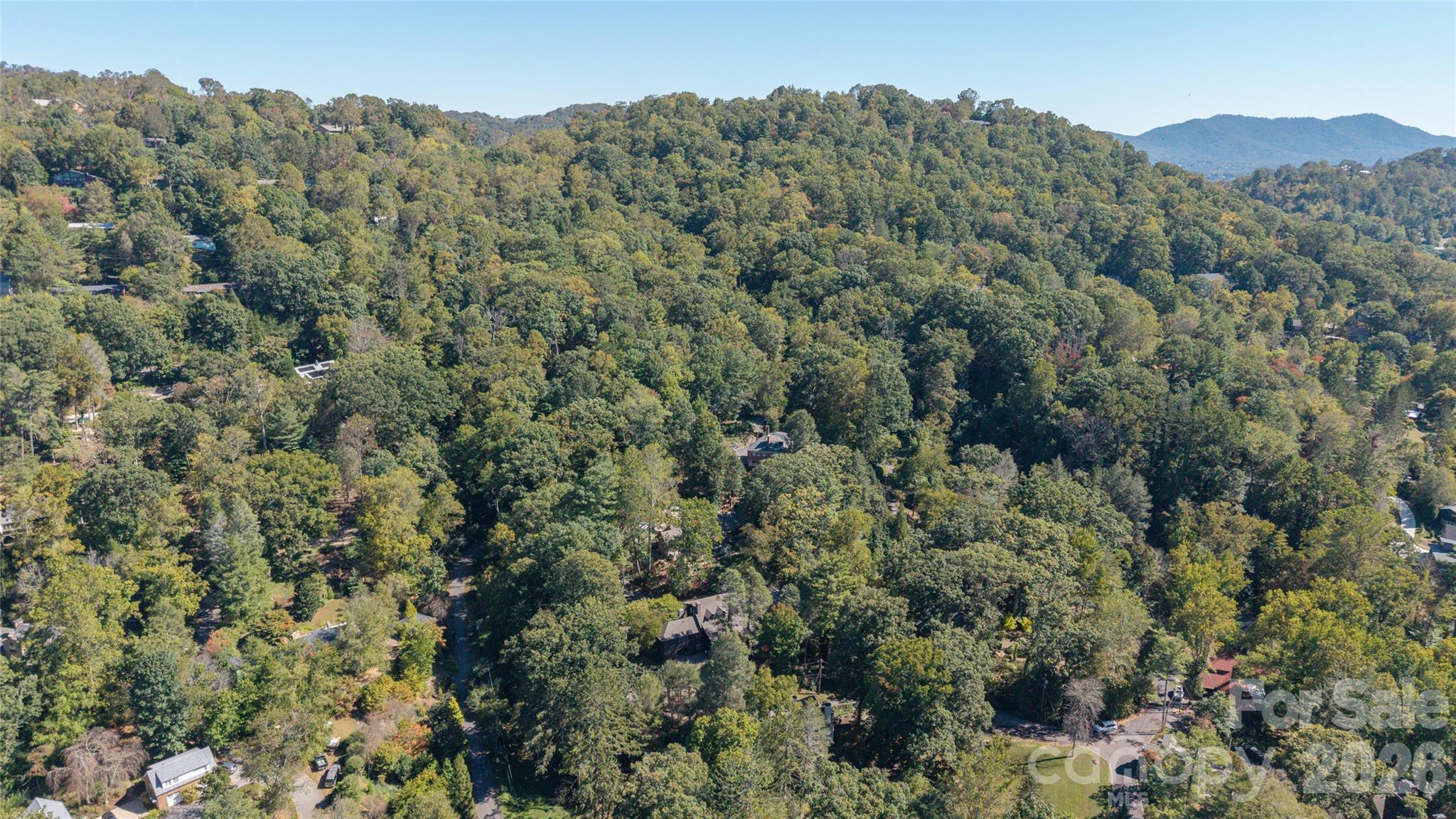 Single Family Residence at 40 Canterbury Road N, Asheville, photo 7 of 38