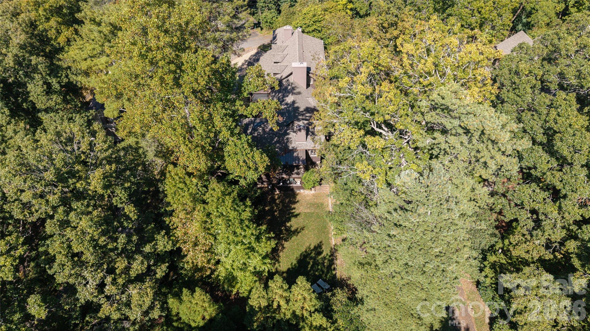 Single Family Residence at 40 Canterbury Road N, Asheville, photo 10 of 38