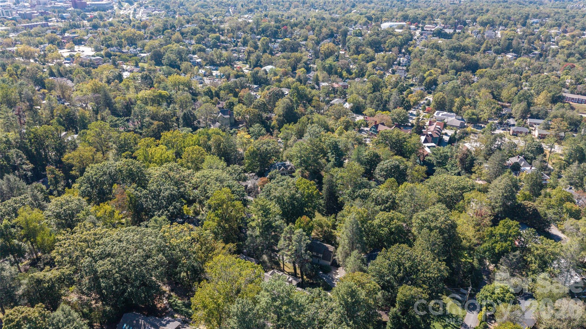 Single Family Residence at 40 Canterbury Road N, Asheville, photo 11 of 38
