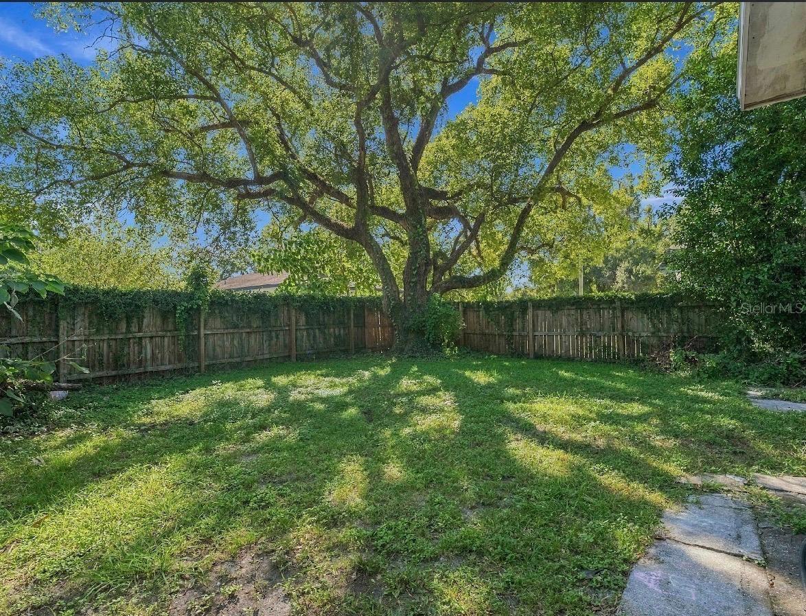 Single Family Residence at 8303 N 11TH ST, TAMPA, photo 12 of 30