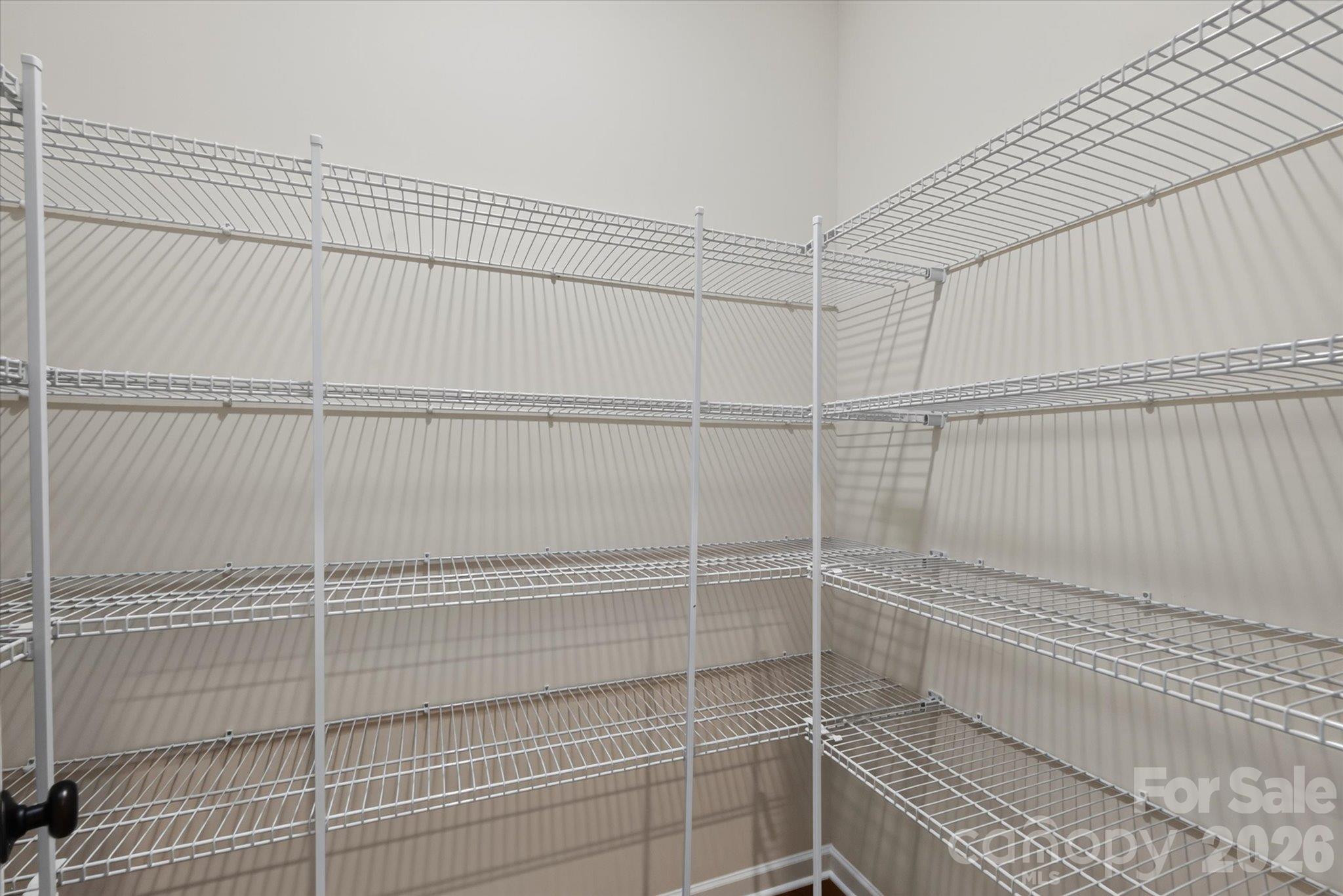 Pantry - 119 Cartington Way, Mooresville