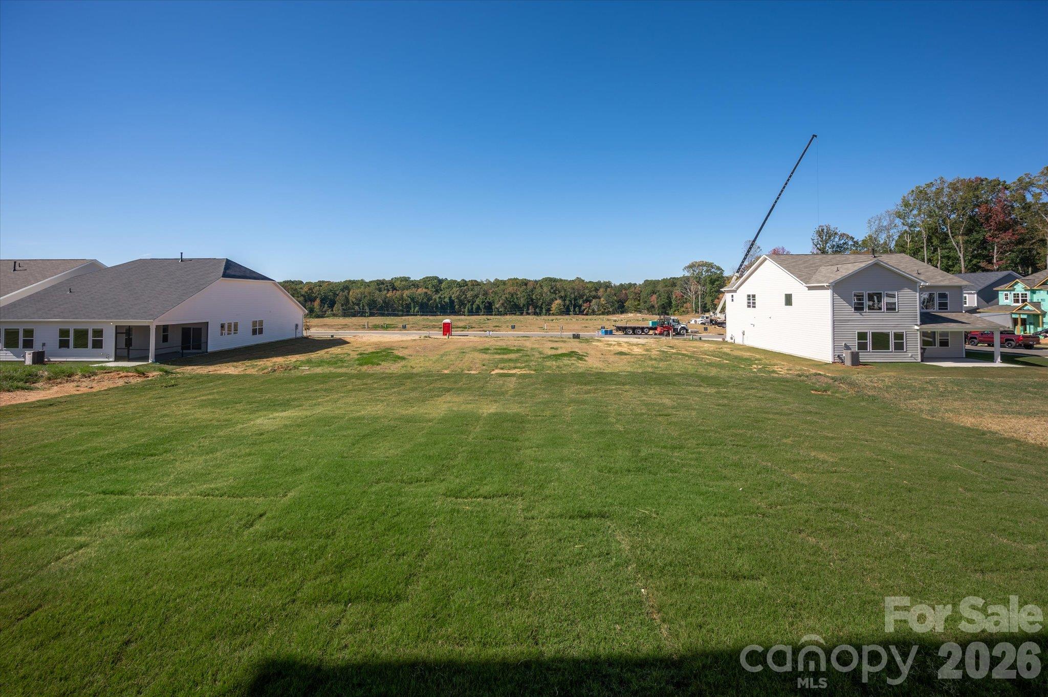 Rear Yard - 119 Cartington Way, Mooresville