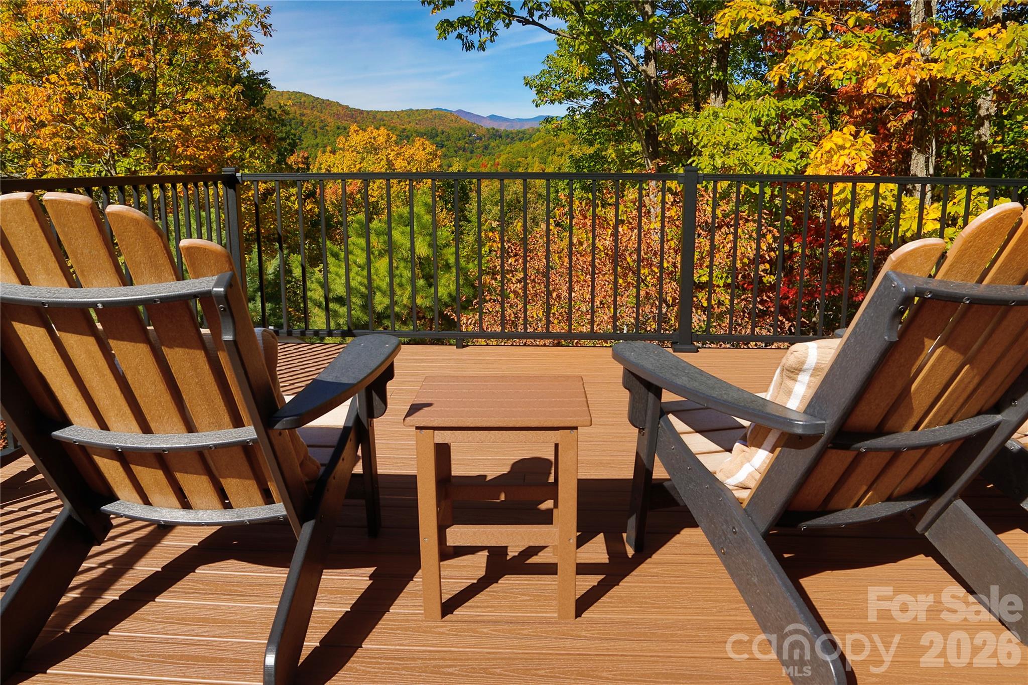 Single Family Residence at 131 Arcadia Falls Way, Black Mountain, photo 4 of 55
