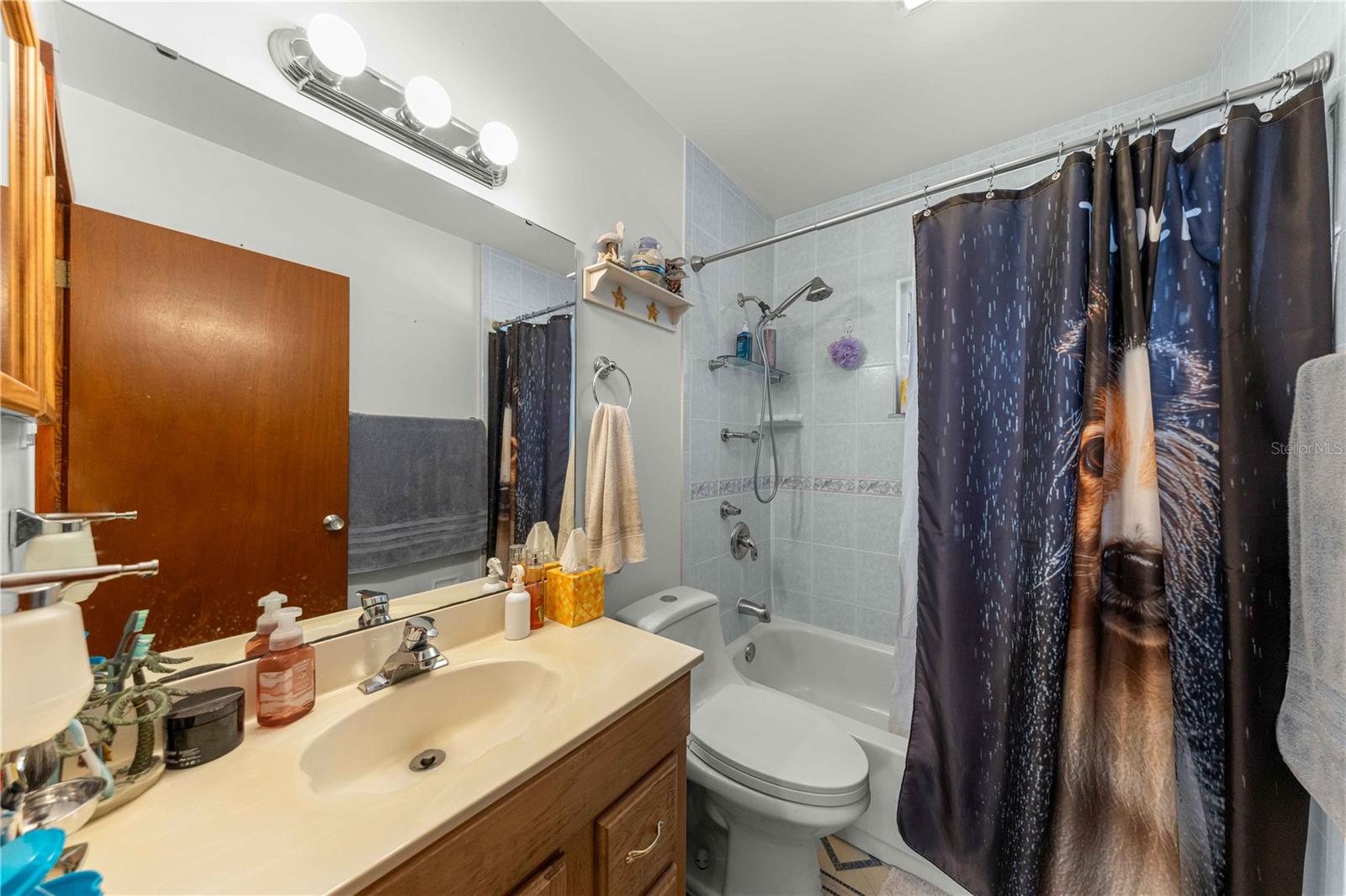 Single Family Residence at 6273 SE HAMES RD, BELLEVIEW, photo 24 of 32