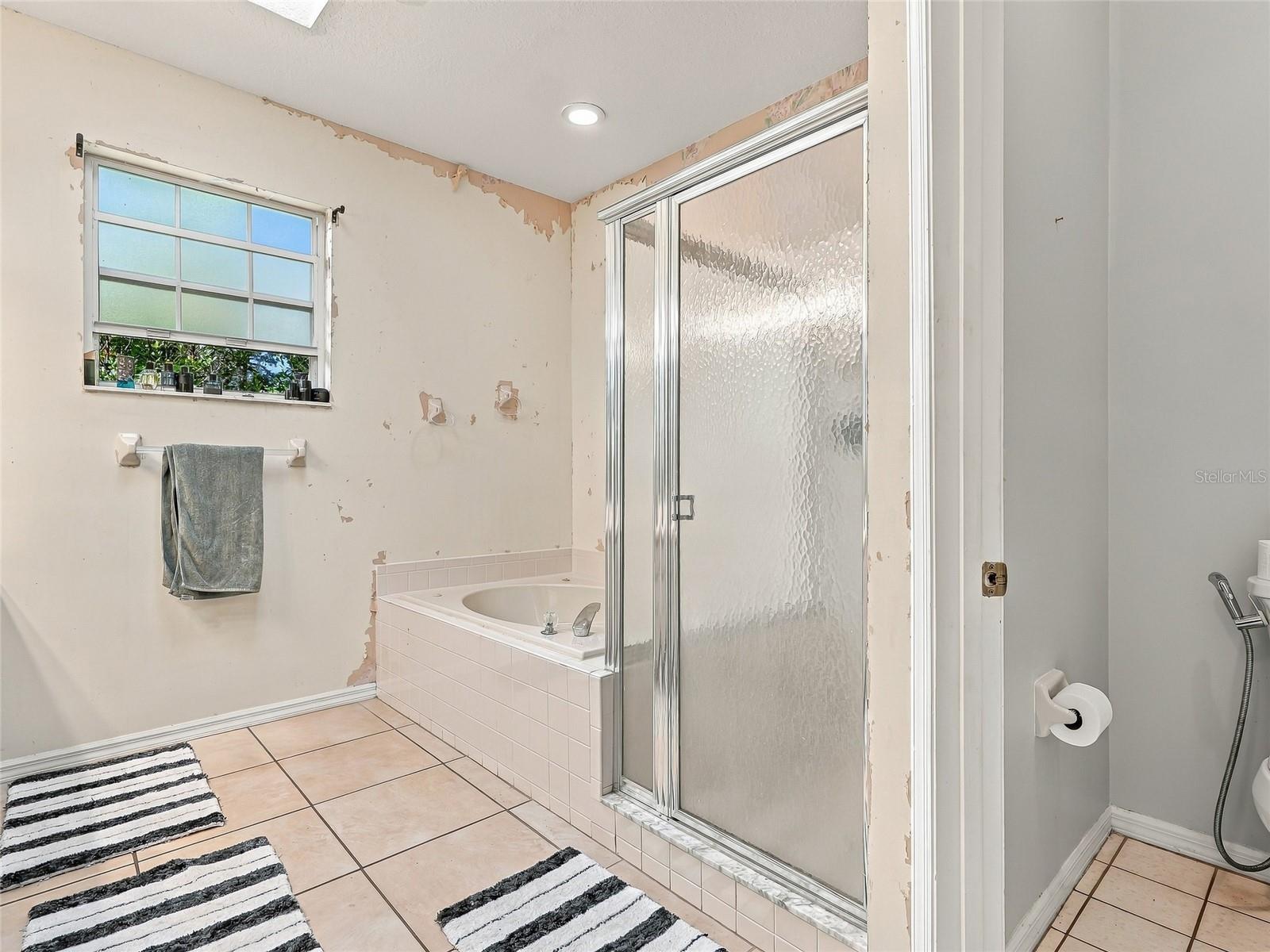Large soaking tub and separate shower - 19480 SW 94TH ST, DUNNELLON