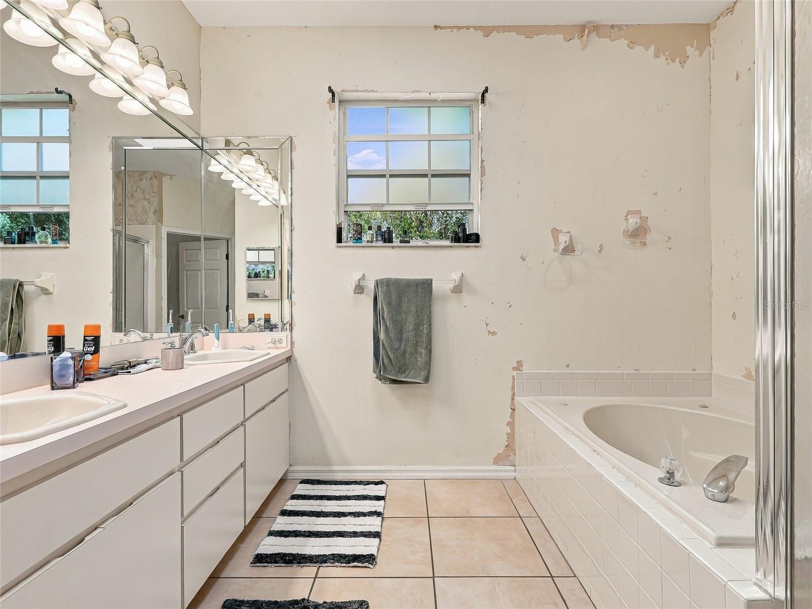 Master Bathroom - 19480 SW 94TH ST, DUNNELLON