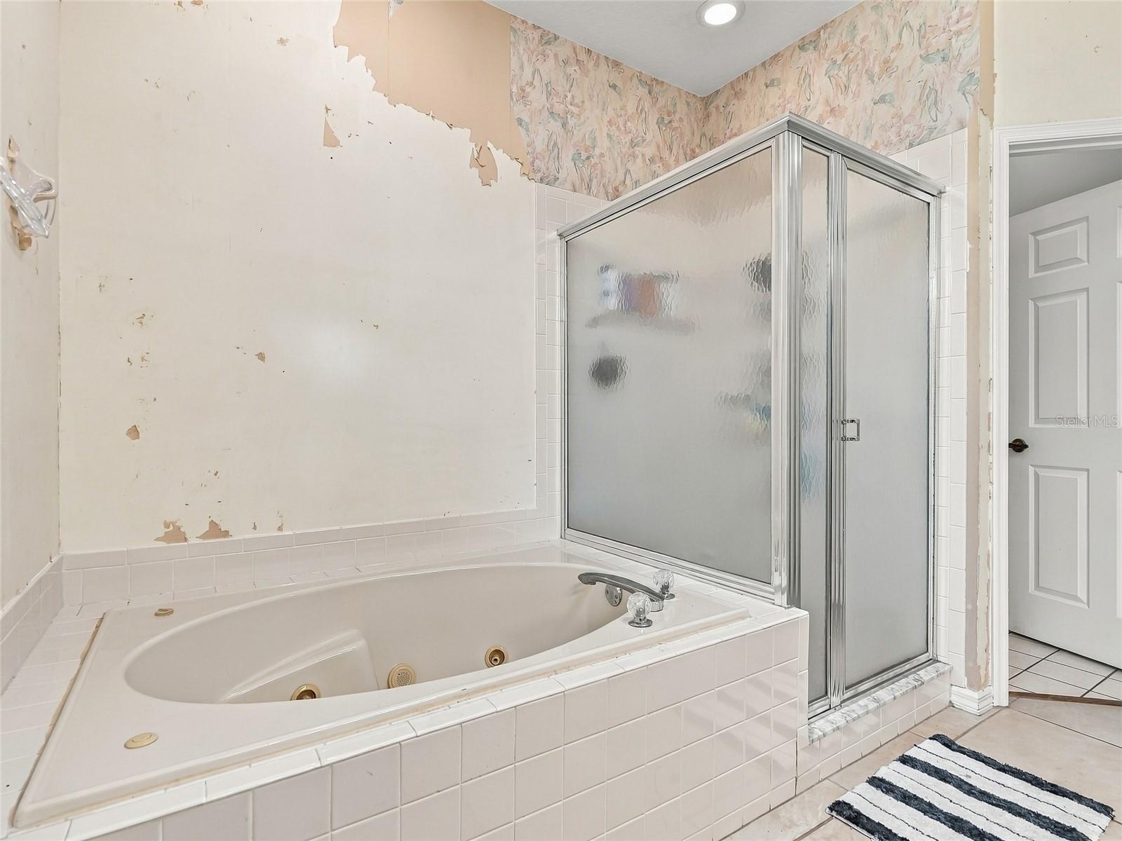 Large Soaking Tub with Jets - 19480 SW 94TH ST, DUNNELLON