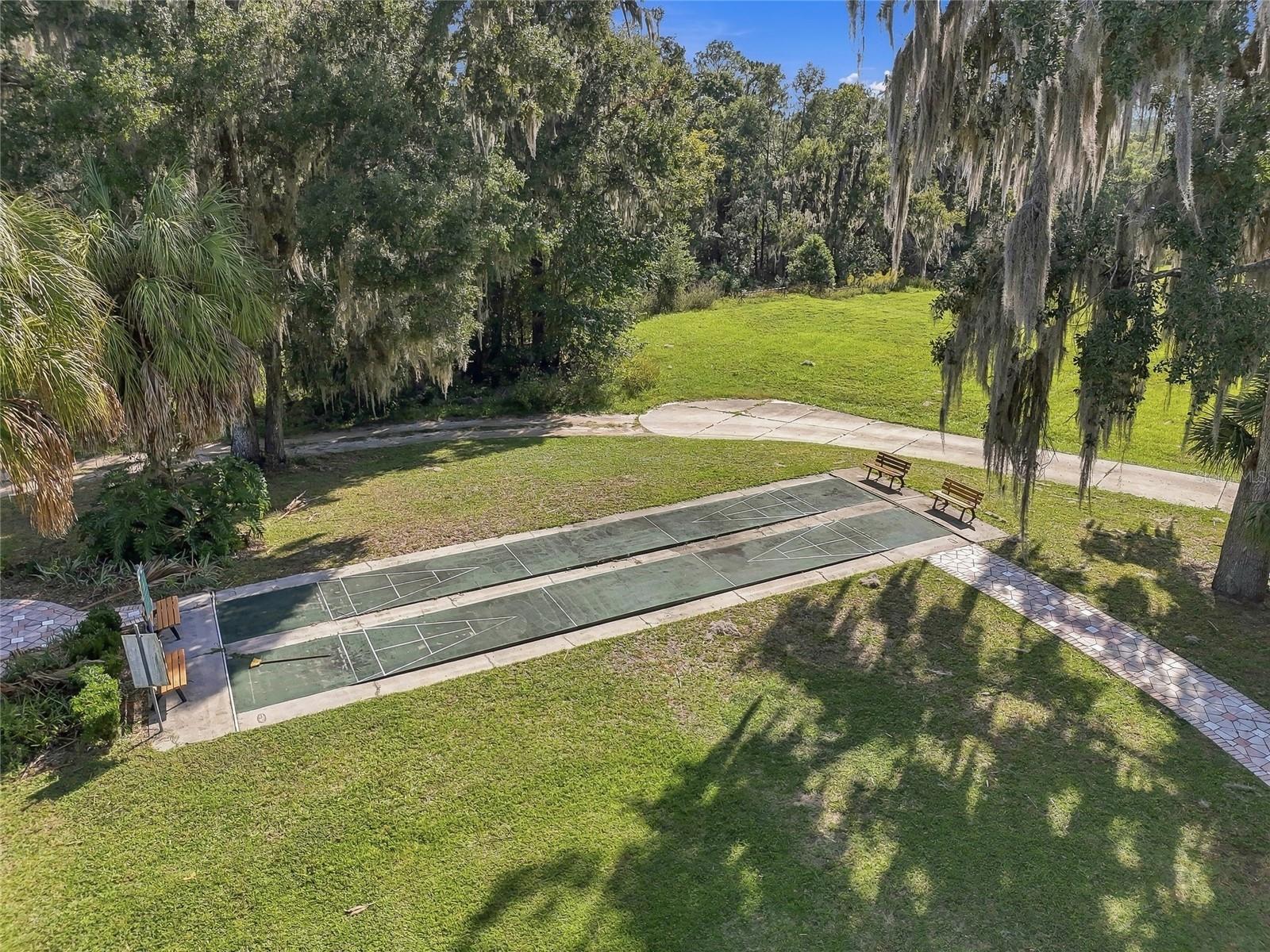 Community Bacce - 19480 SW 94TH ST, DUNNELLON
