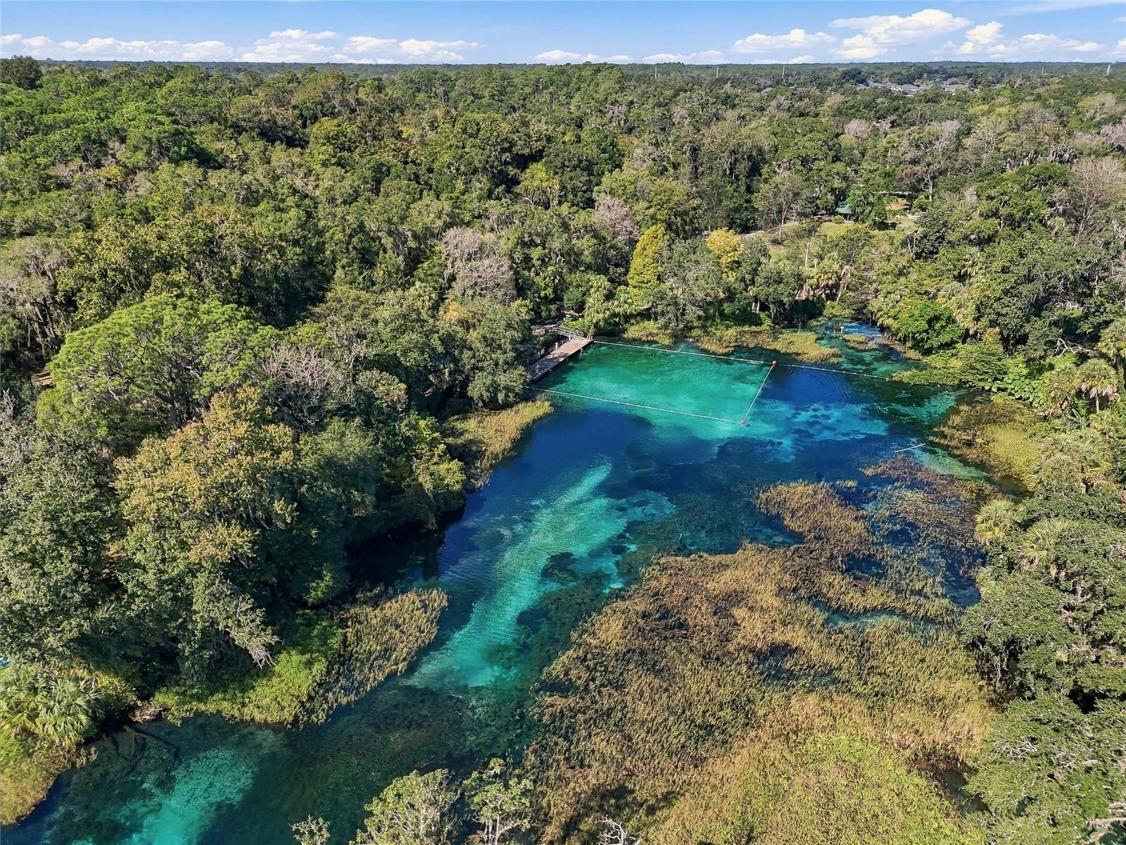 Rainbow Springs - 19480 SW 94TH ST, DUNNELLON