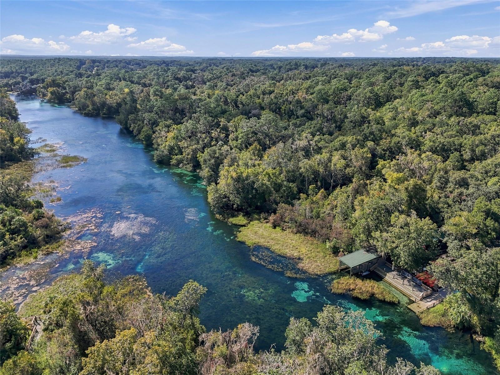 Come see the Manatees! - 19480 SW 94TH ST, DUNNELLON