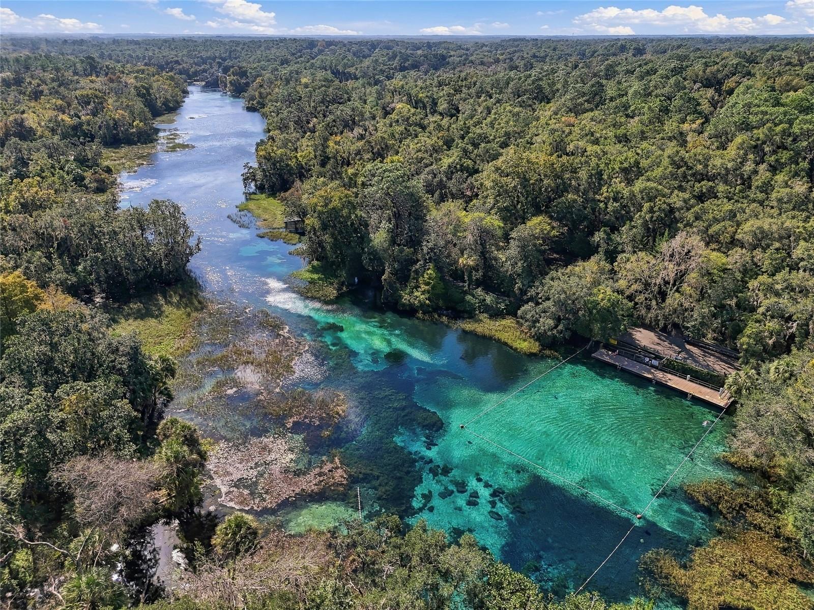 Next Kayaking Trip! - 19480 SW 94TH ST, DUNNELLON