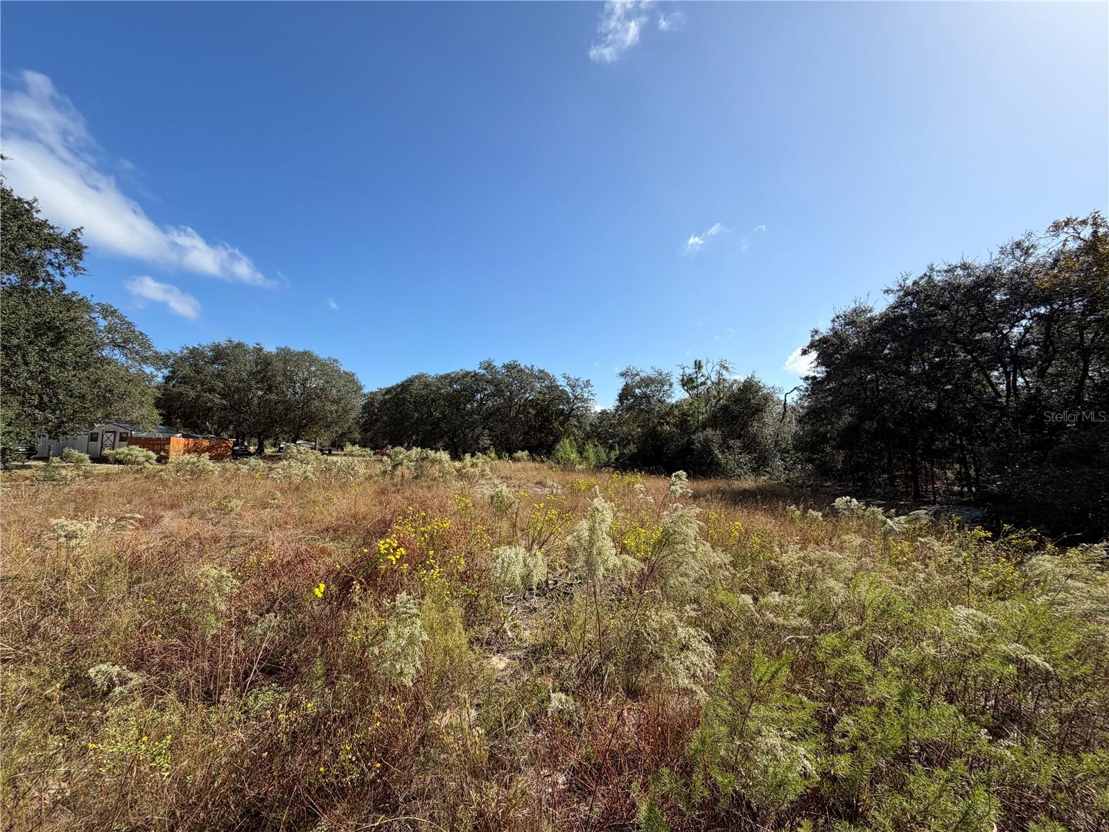 Land at SW GARDENIA CT, DUNNELLON, photo 2 of 8