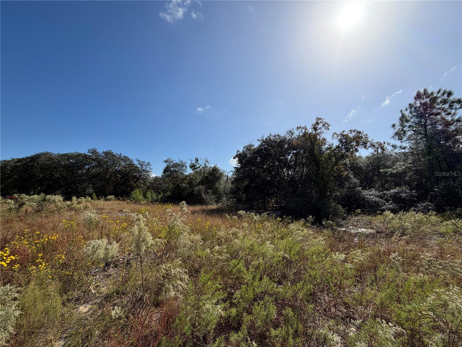 Land at SW GARDENIA CT, DUNNELLON, photo 3 of 8