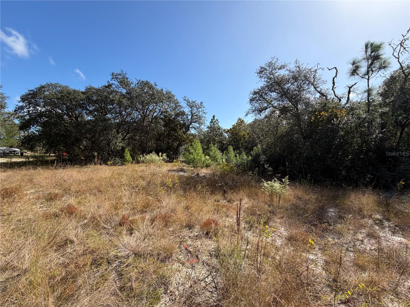 Land at SW GARDENIA CT, DUNNELLON, photo 4 of 8