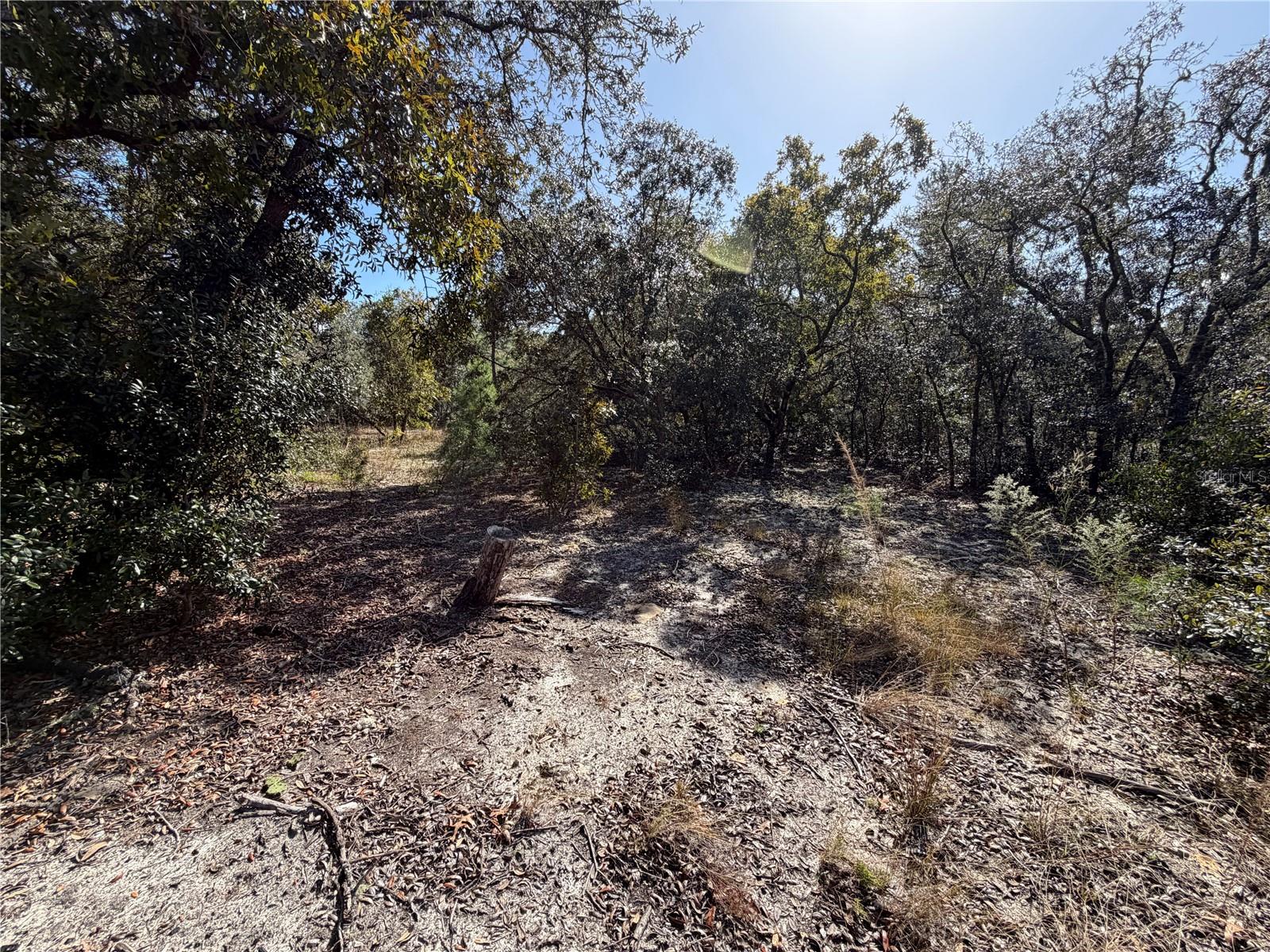 Land at SW GARDENIA CT, DUNNELLON, photo 5 of 8