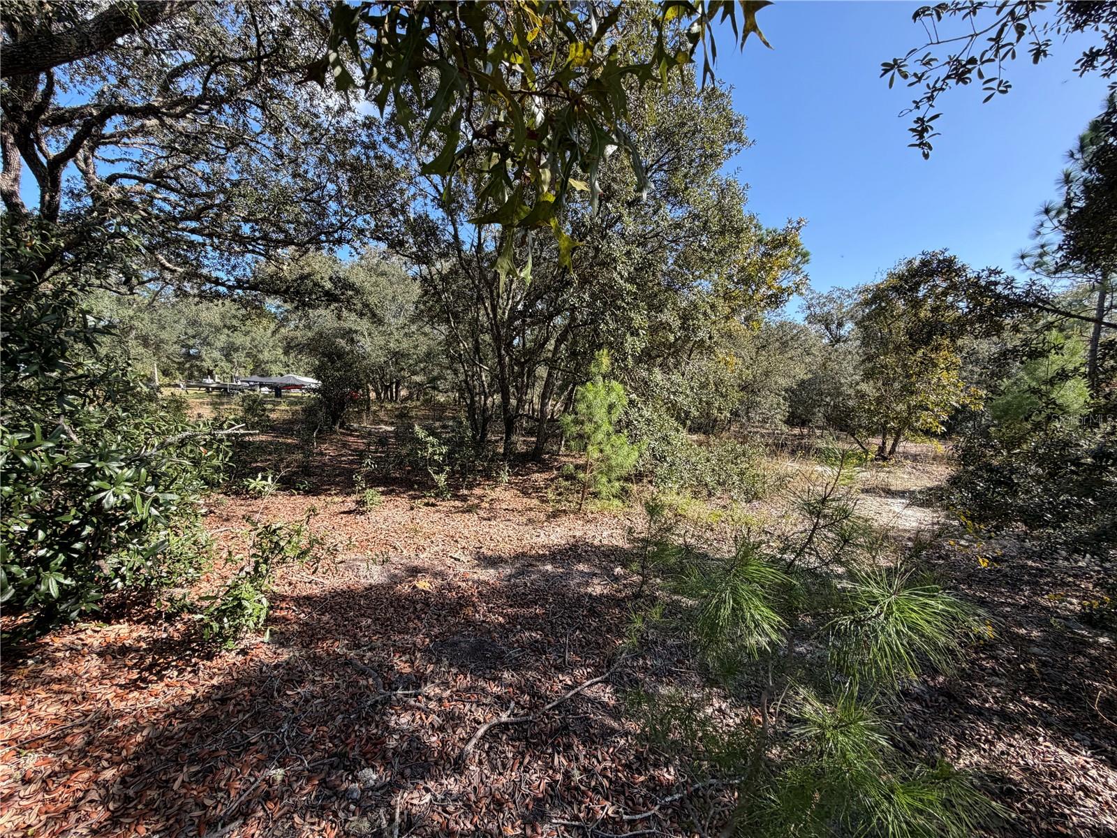 Land at SW GARDENIA CT, DUNNELLON, photo 6 of 8