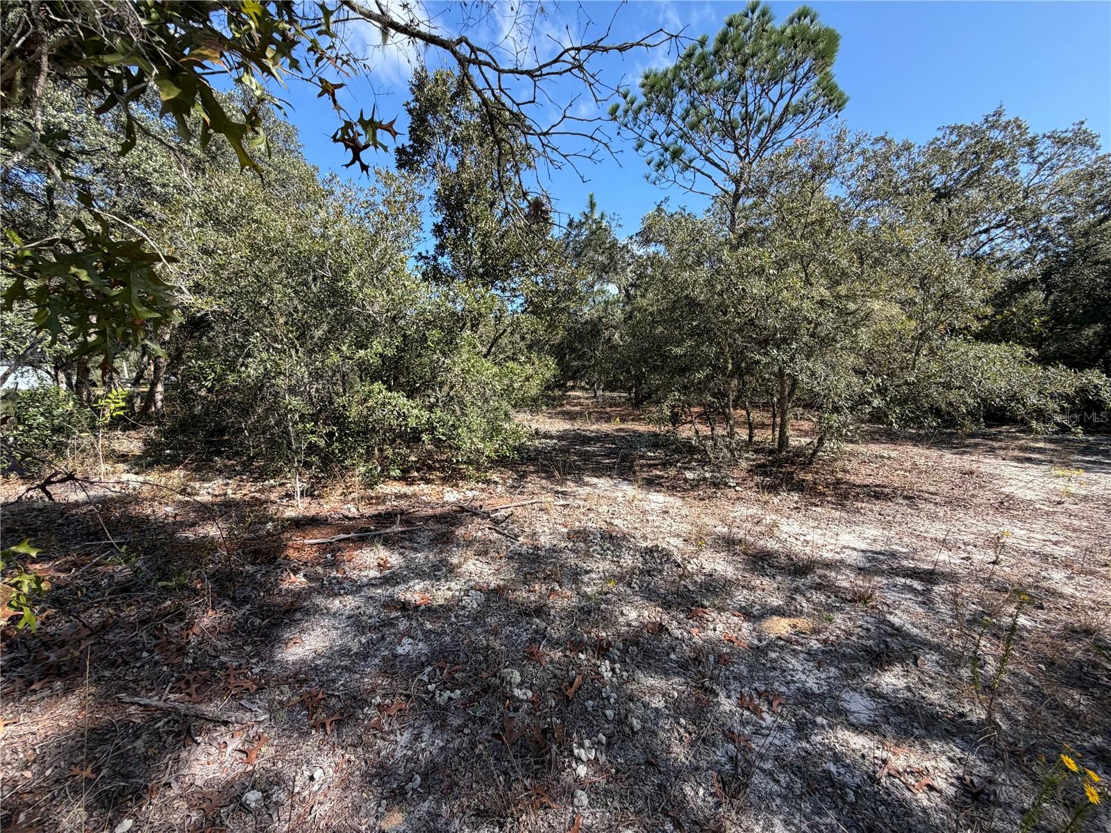 Land at SW GARDENIA CT, DUNNELLON, photo 8 of 8