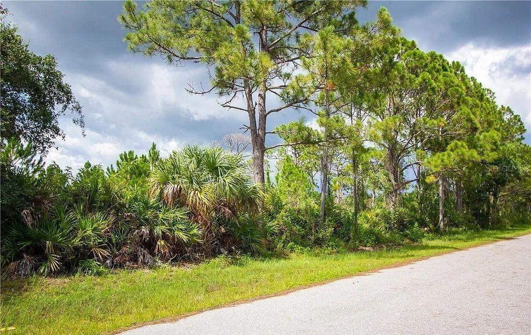 Land at 12140 KARNEY AVE, PORT CHARLOTTE, photo 3 of 9