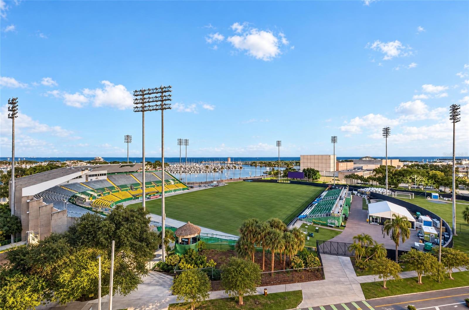 Al Lang Stadium View From East Terrace - 301 1ST ST S #1004, ST PETERSBURG