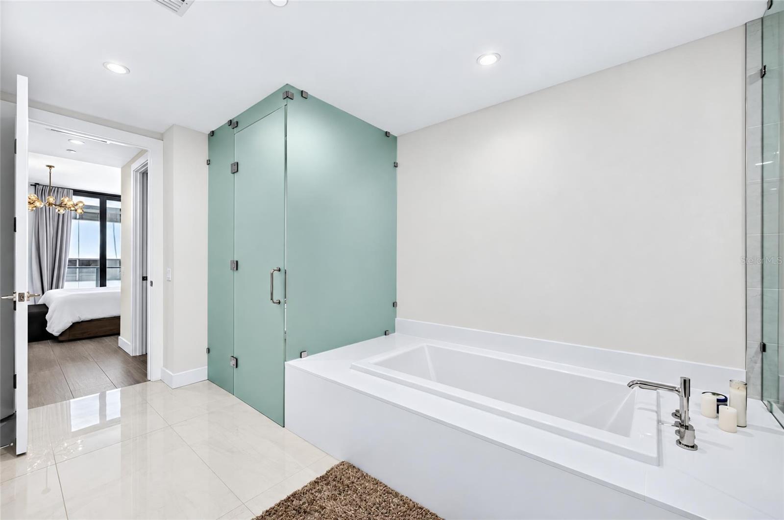 Luxury Primary Soaking Tub - 301 1ST ST S #1004, ST PETERSBURG