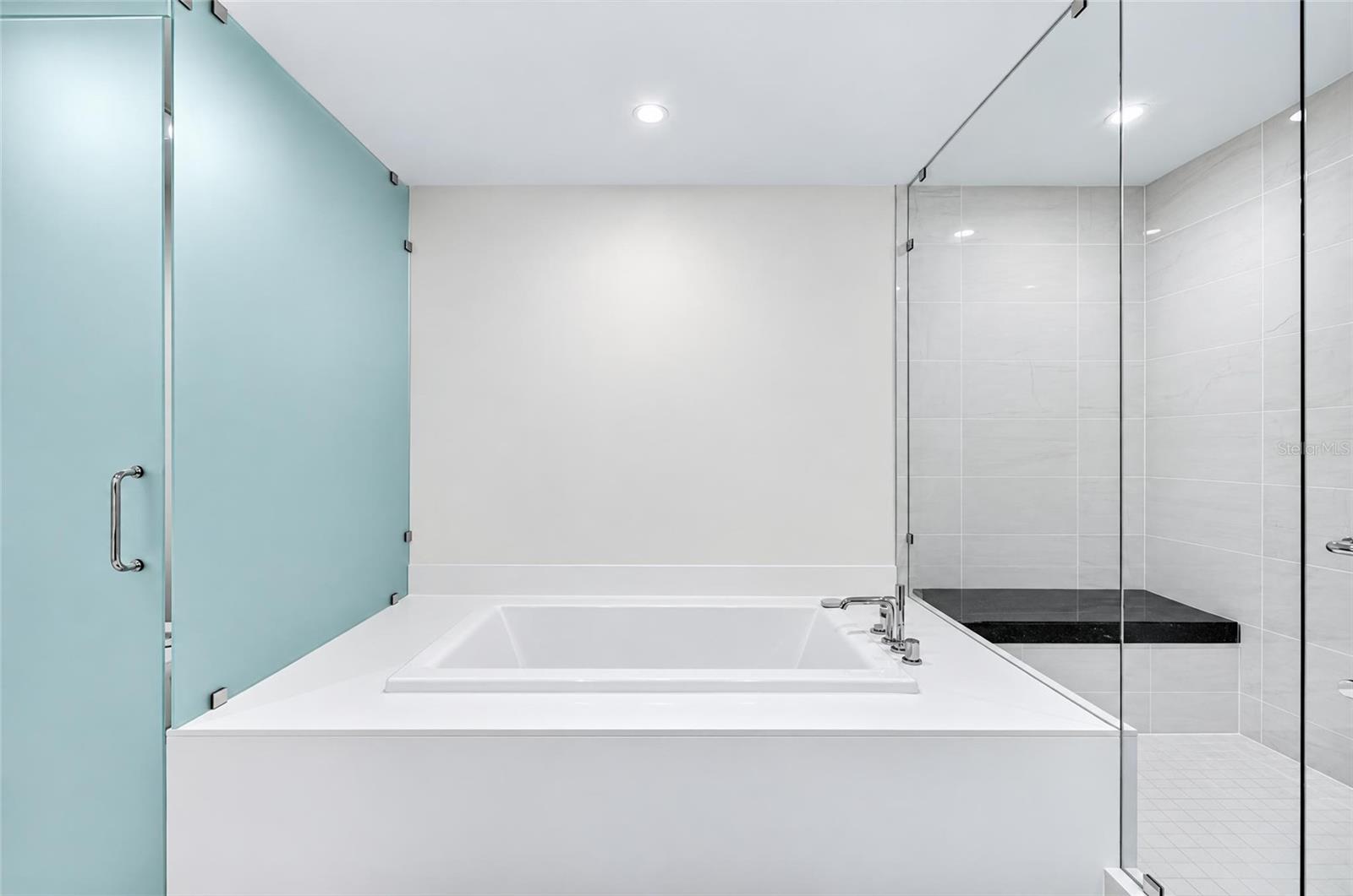 Luxury Primary Soaking Tub - 301 1ST ST S #1004, ST PETERSBURG