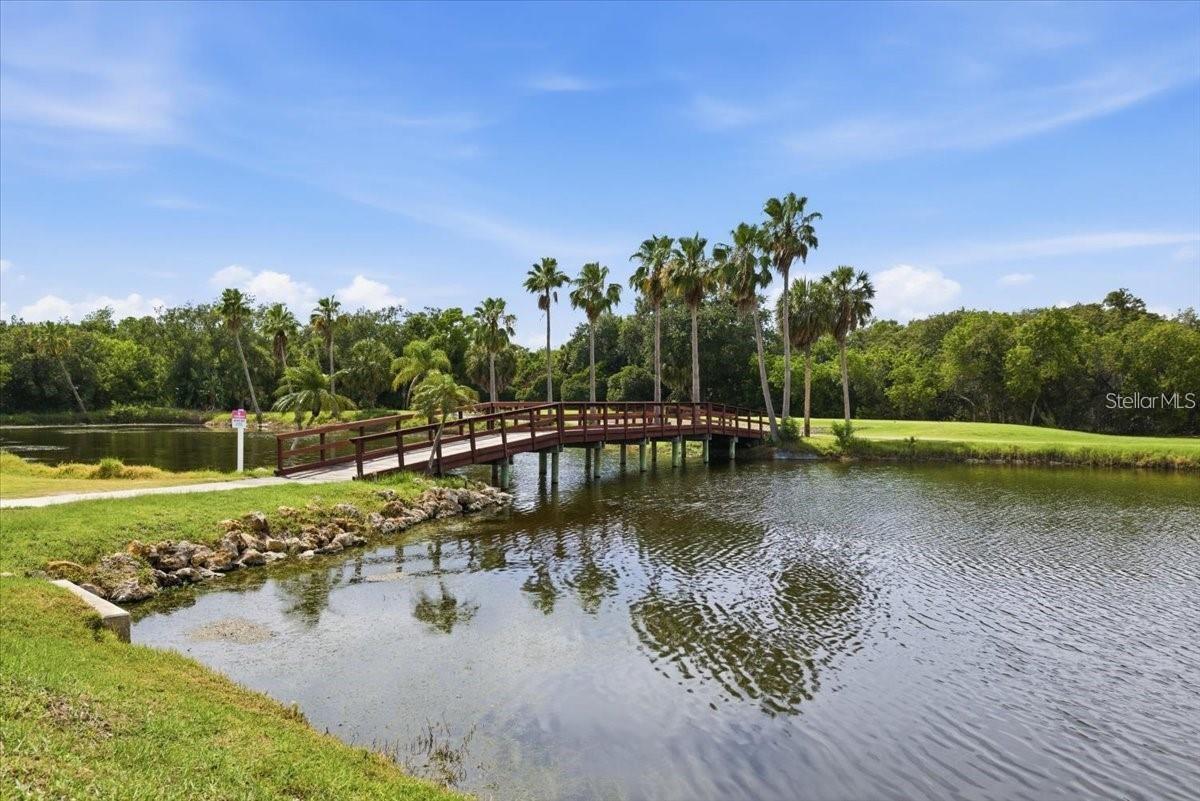Condominium at 2621 COVE CAY DR #508, CLEARWATER, photo 37 of 38