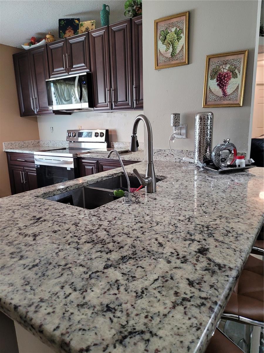 Single Family Residence at 910 SAN CARLOS WAY, KISSIMMEE, photo 3 of 6