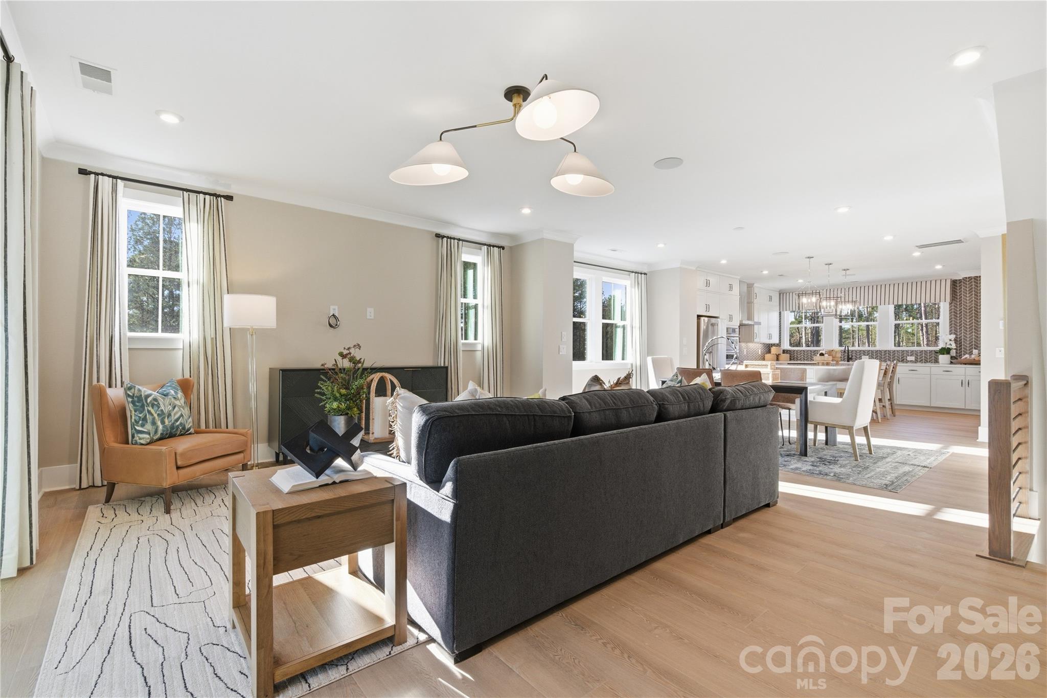 Conceptual - 14009 Meera Lane, Charlotte