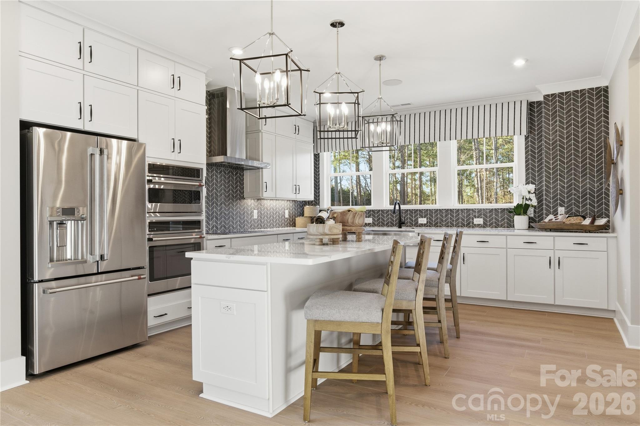 Conceptual - 14009 Meera Lane, Charlotte