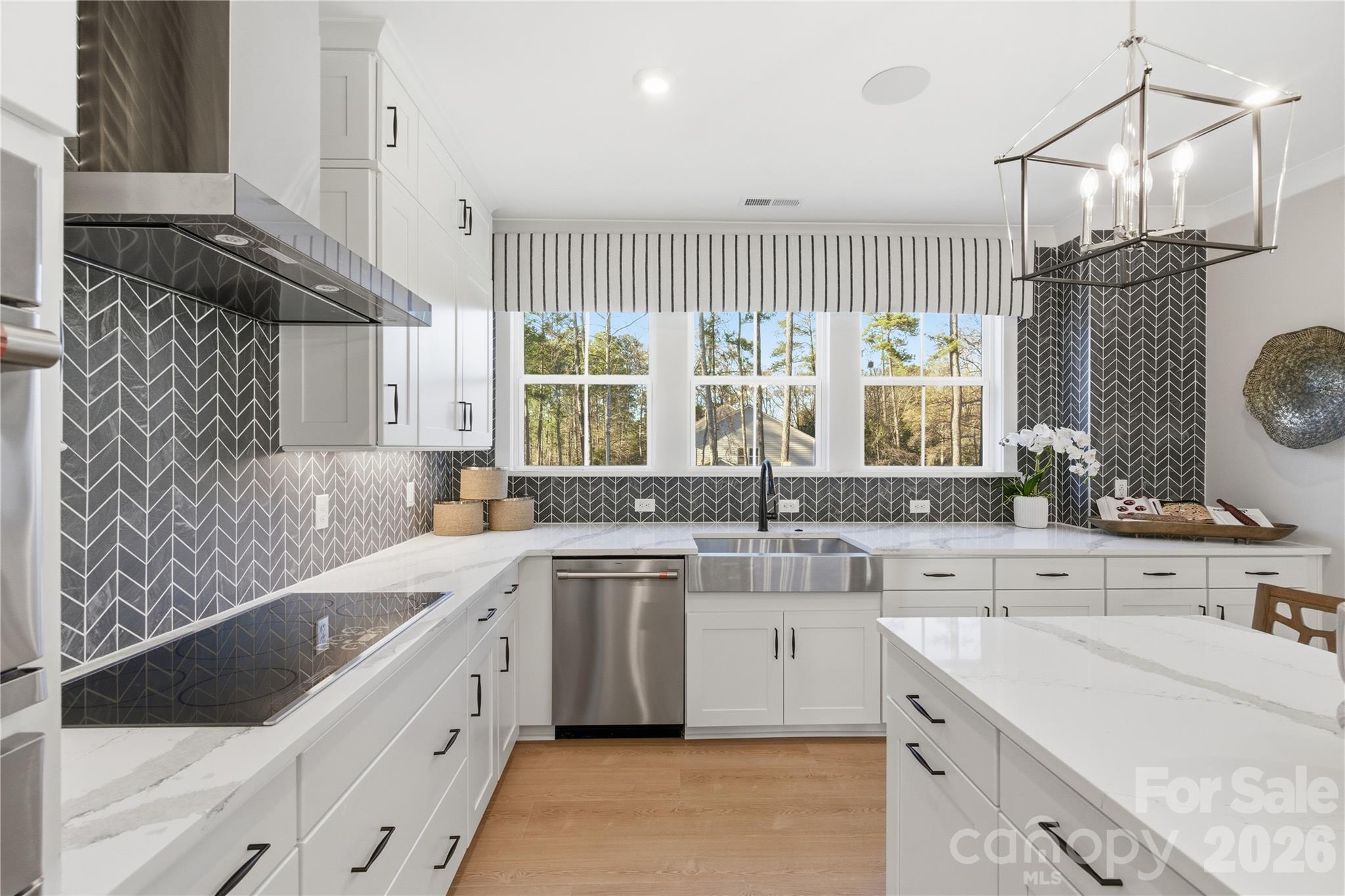 Conceptual - 14009 Meera Lane, Charlotte