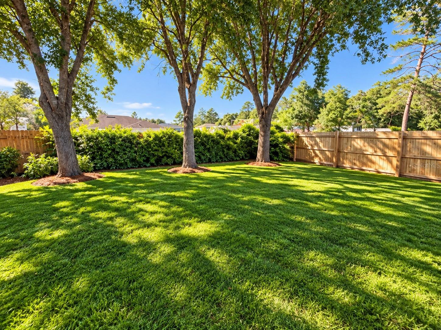 Back yard - 860 HICKORY AVE, ORANGE CITY