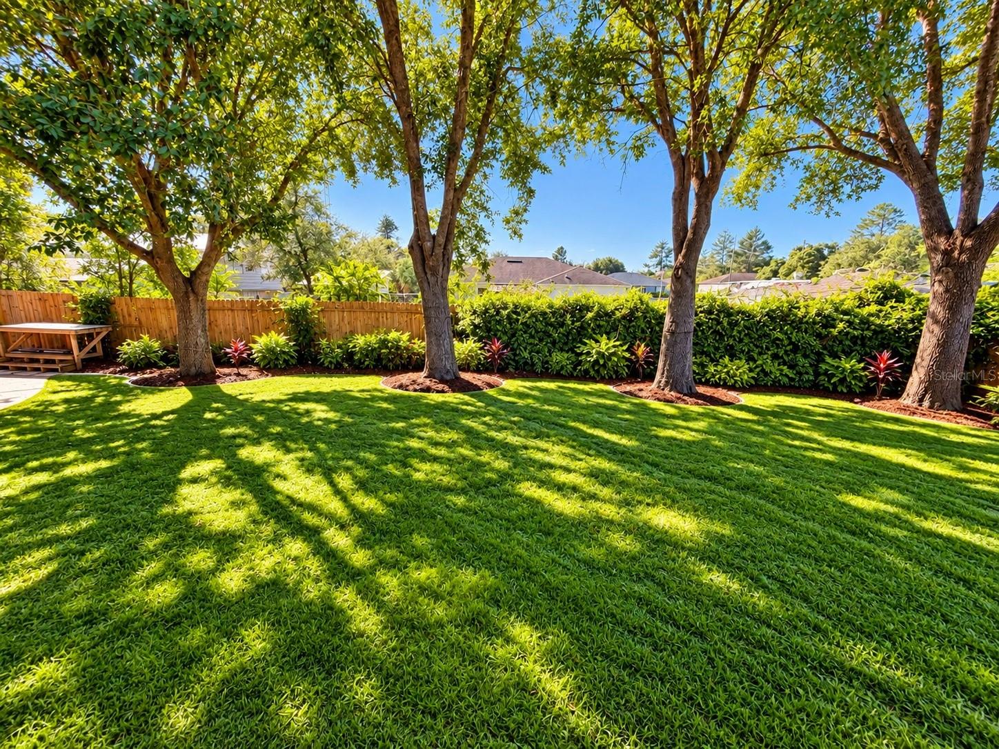 Backyard - 860 HICKORY AVE, ORANGE CITY