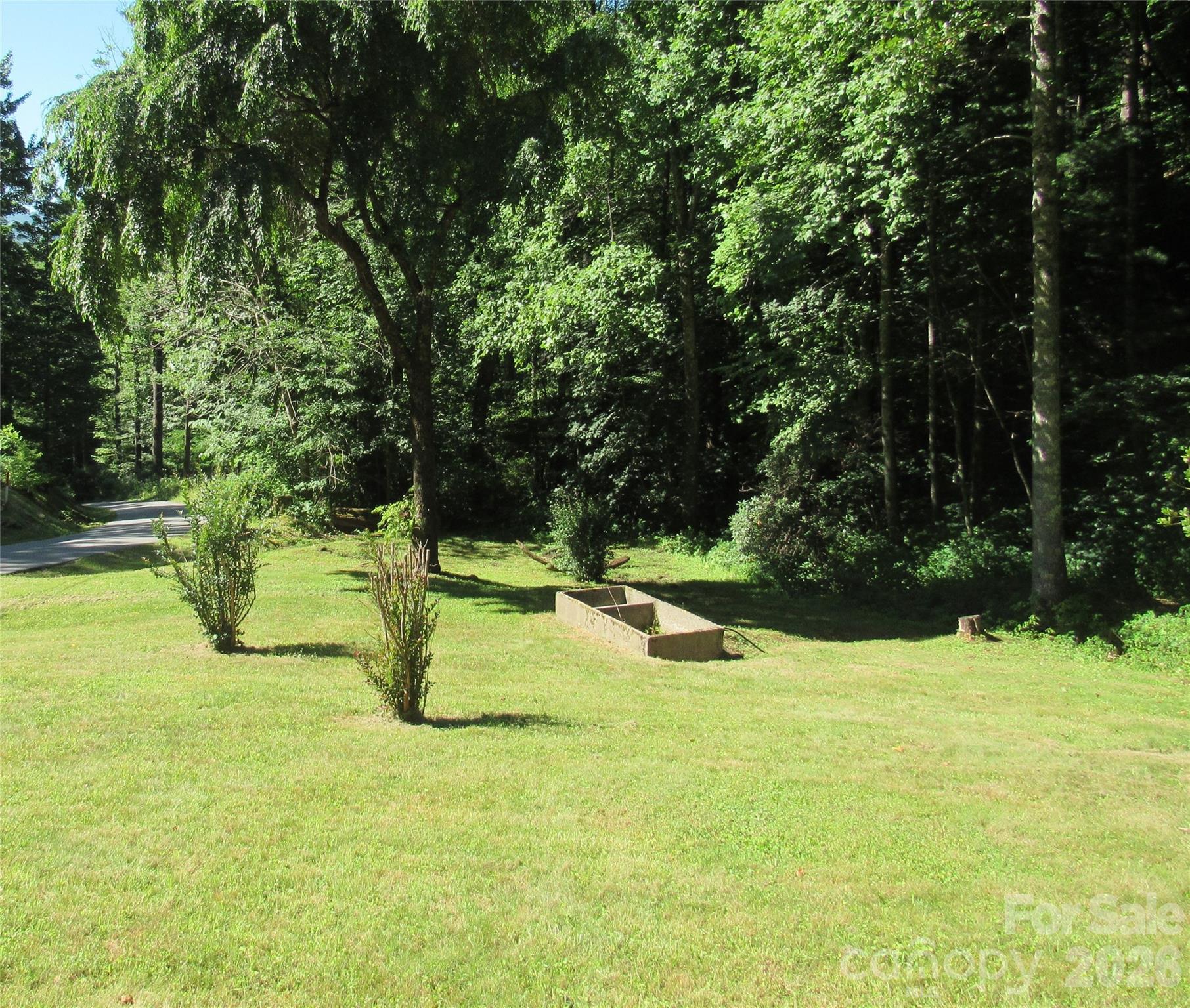 Front Yard - 664 Woodfin Road, Sylva