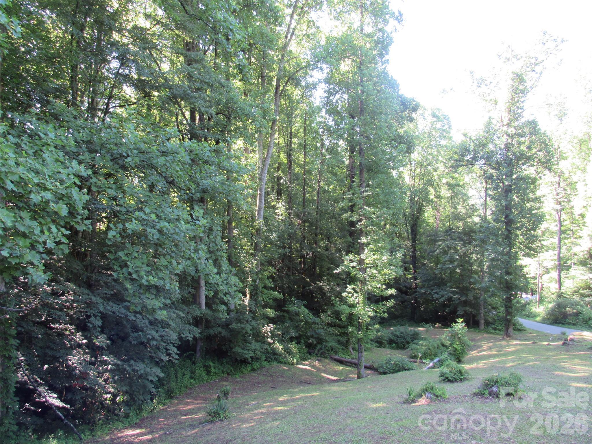 Yard - 664 Woodfin Road, Sylva