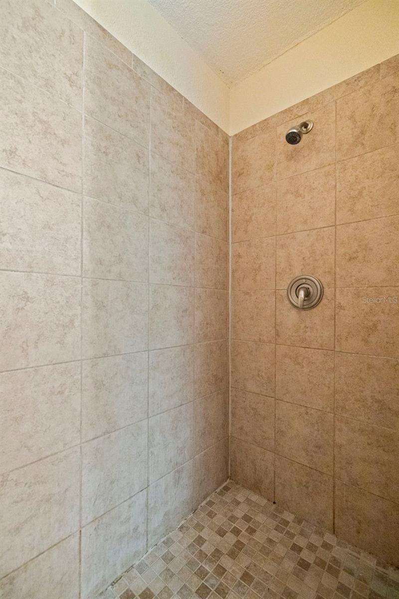 Single Family Residence at 1065 28TH AVE S, ST PETERSBURG, photo 33 of 51
