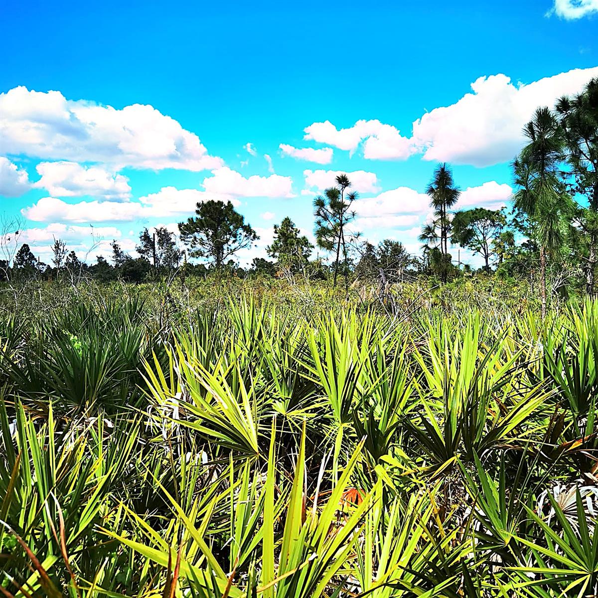 Land at 12140 KARNEY AVE, PORT CHARLOTTE, photo 4 of 9