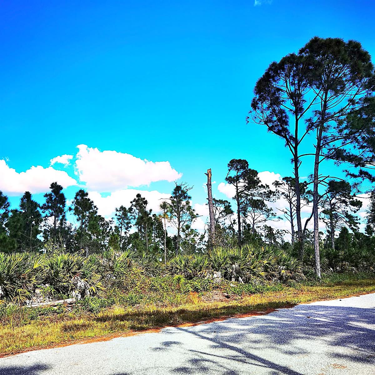 Land at 12140 KARNEY AVE, PORT CHARLOTTE, photo 5 of 9